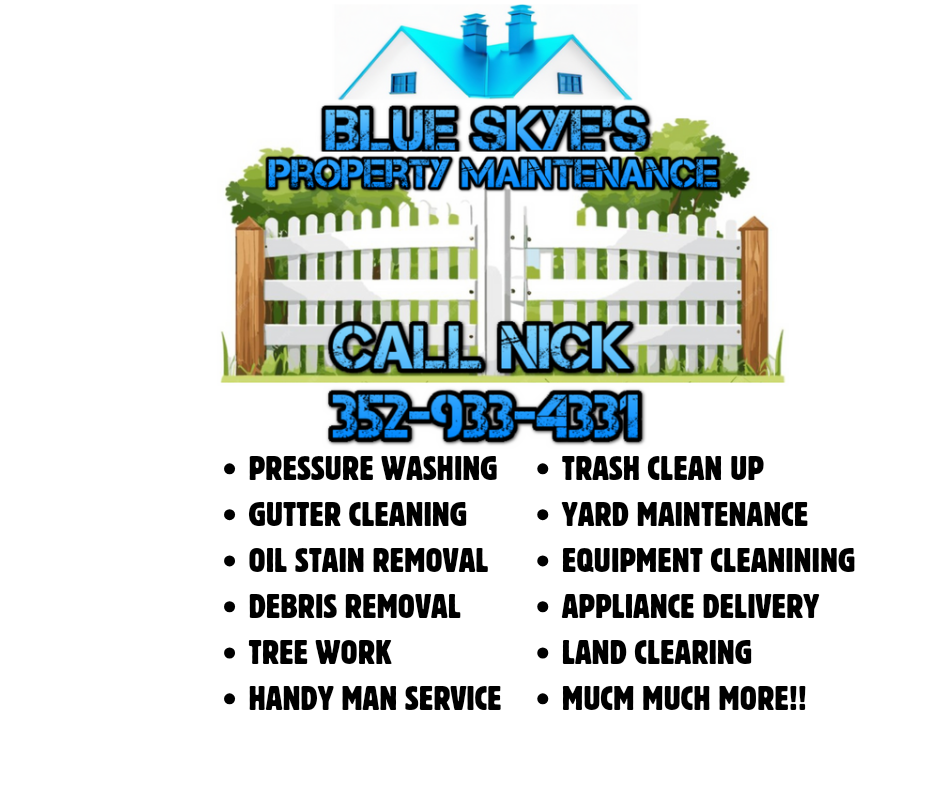 Blue Skye's Property Maintenance logo
