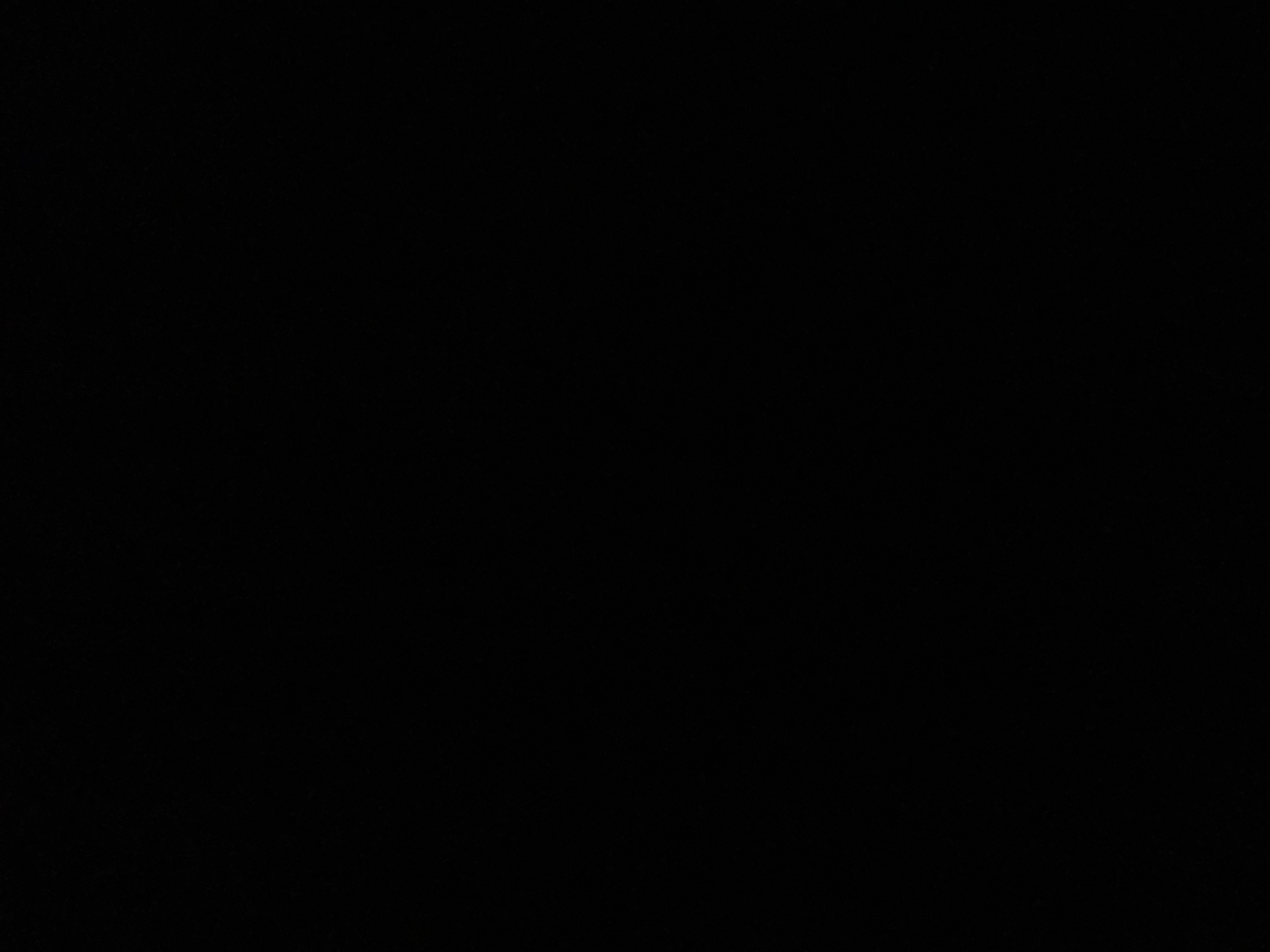 Avatar for Ljubanovic