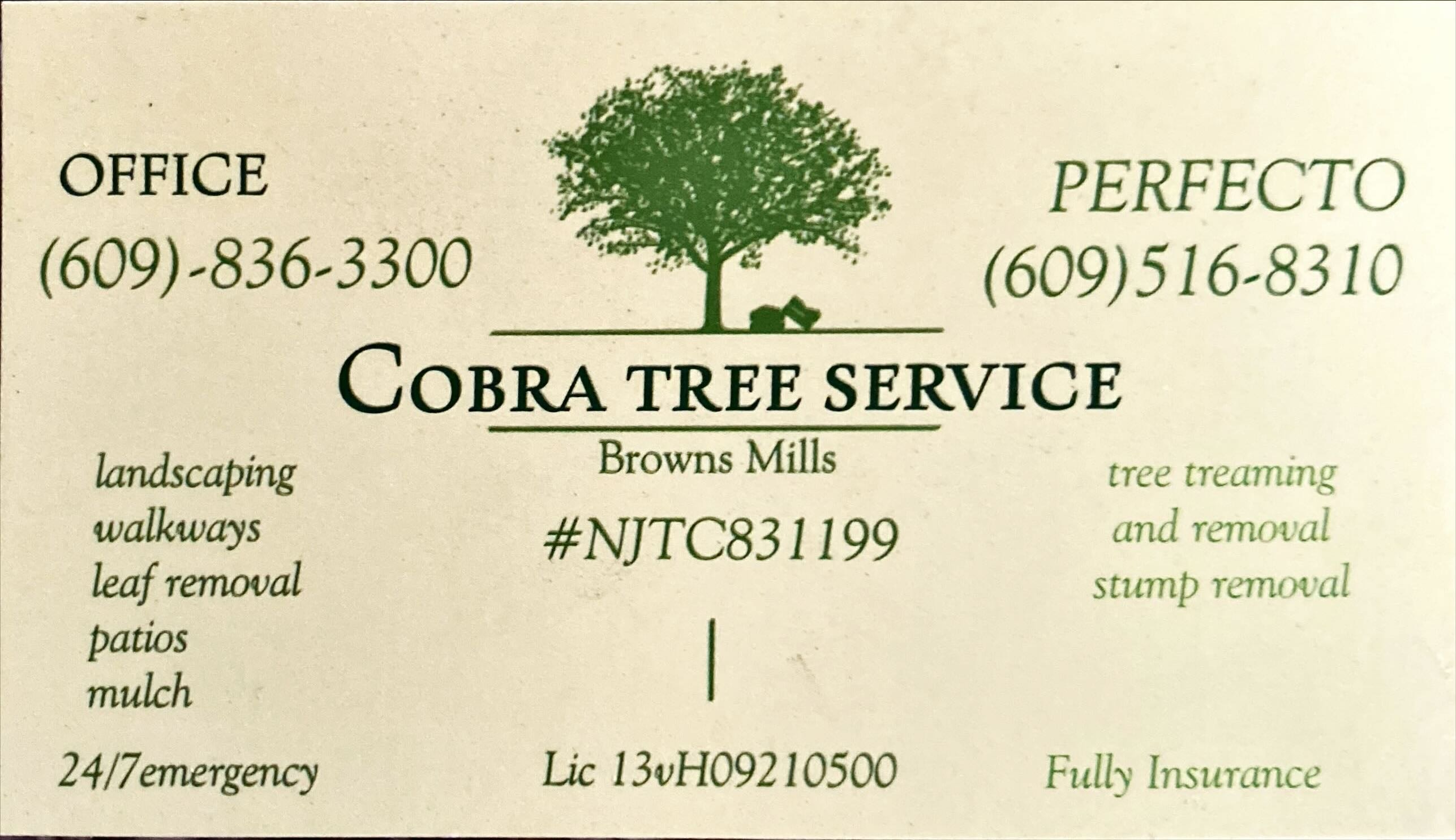 Cobra tree services and landscaping logo
