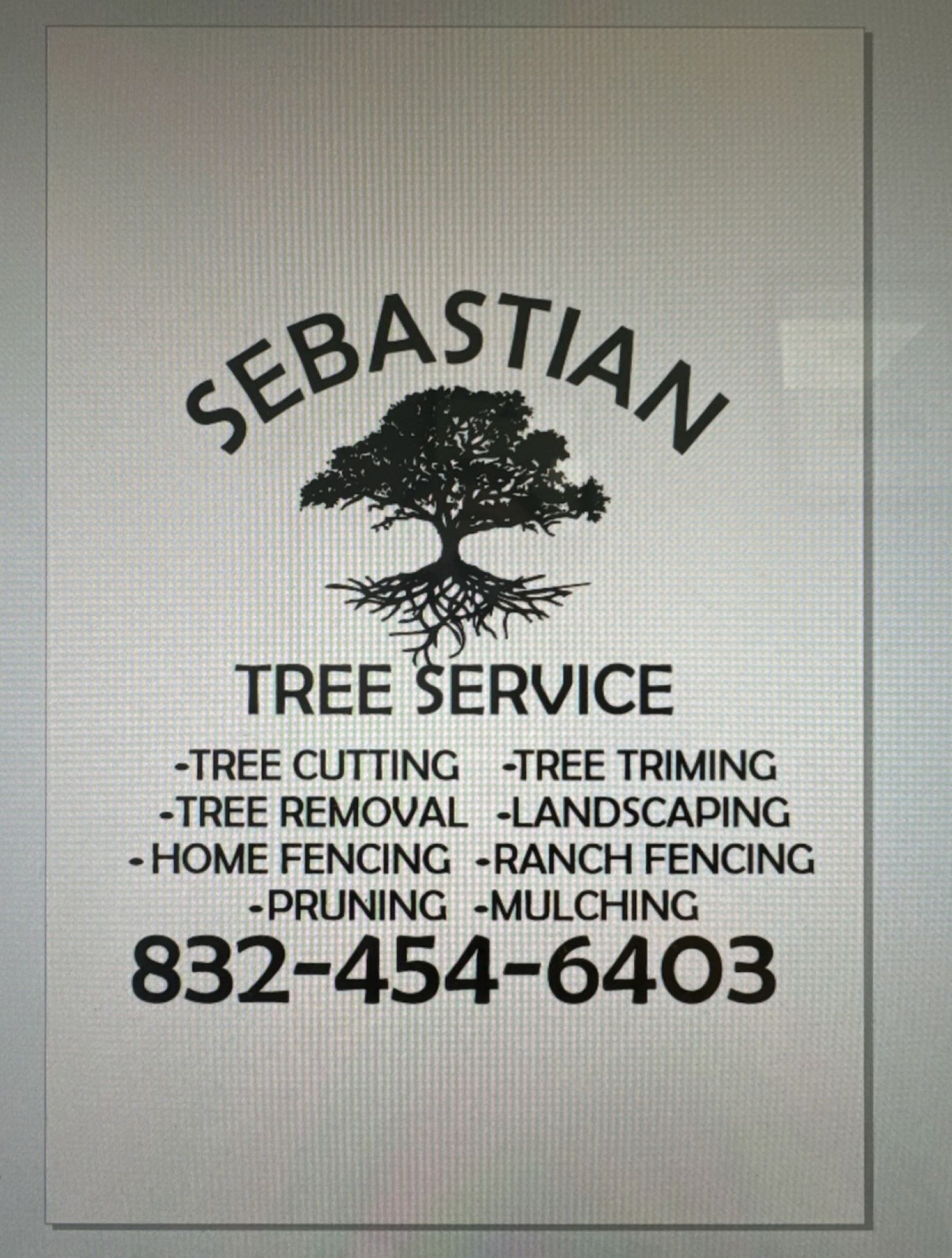 Avatar for Sebastian Service Tree Cutting
