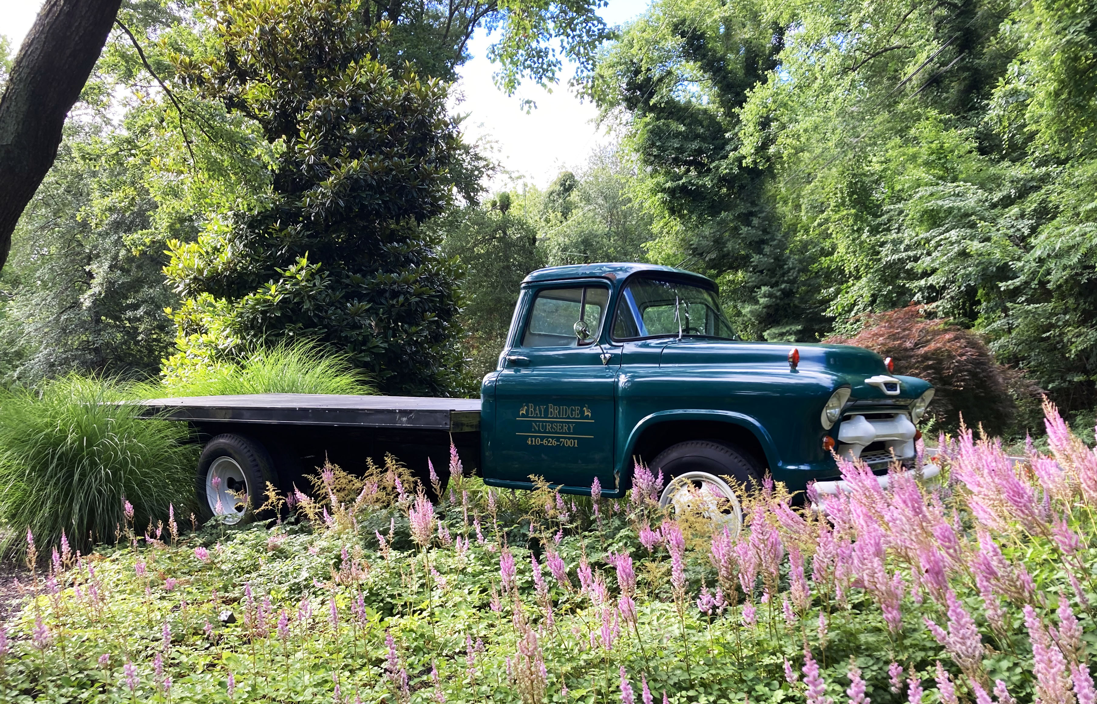 Avatar for Bay Ridge Design Build