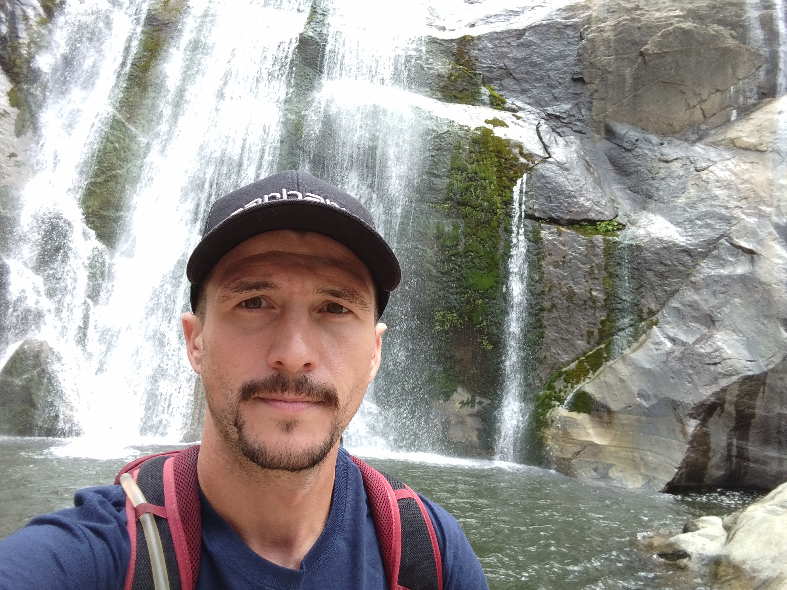 Avatar for Vigario Technology Solutions