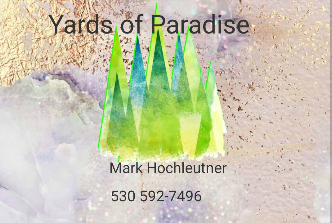Yards of Paradise logo