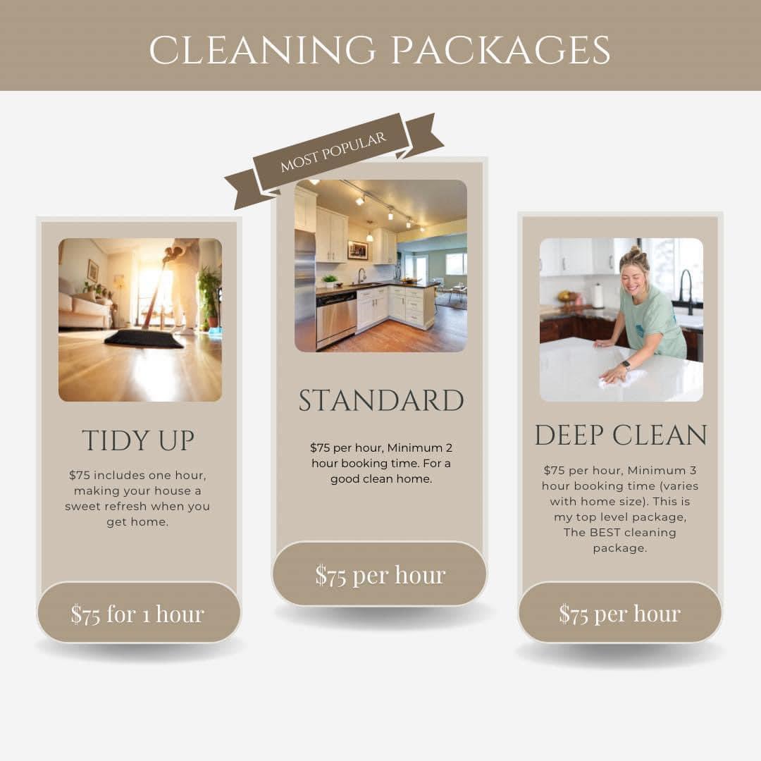 Ansleigh home cleaning logo