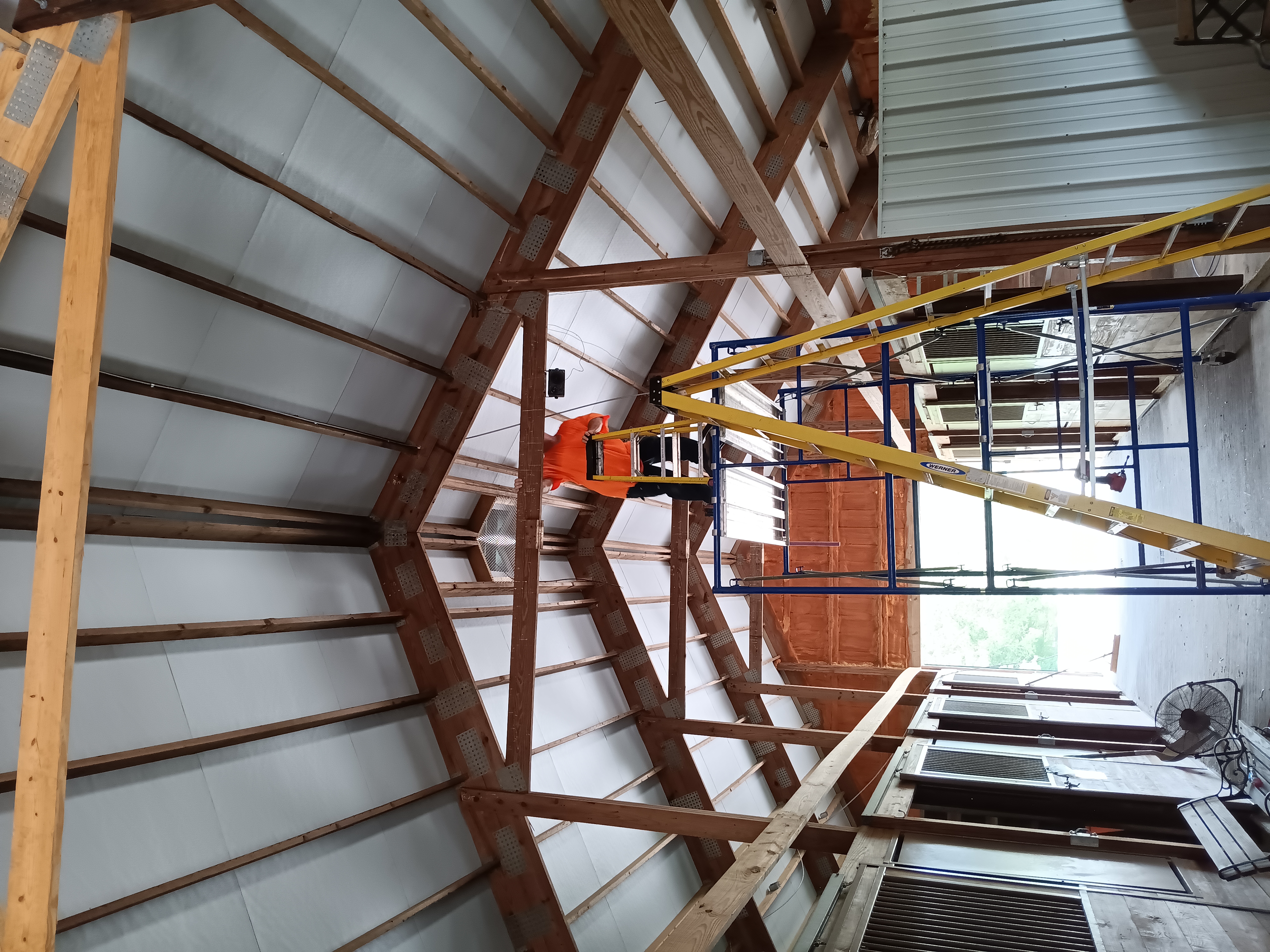 Avatar for Ronald Bailey