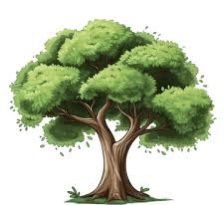 Avatar for LAWN MASTERS