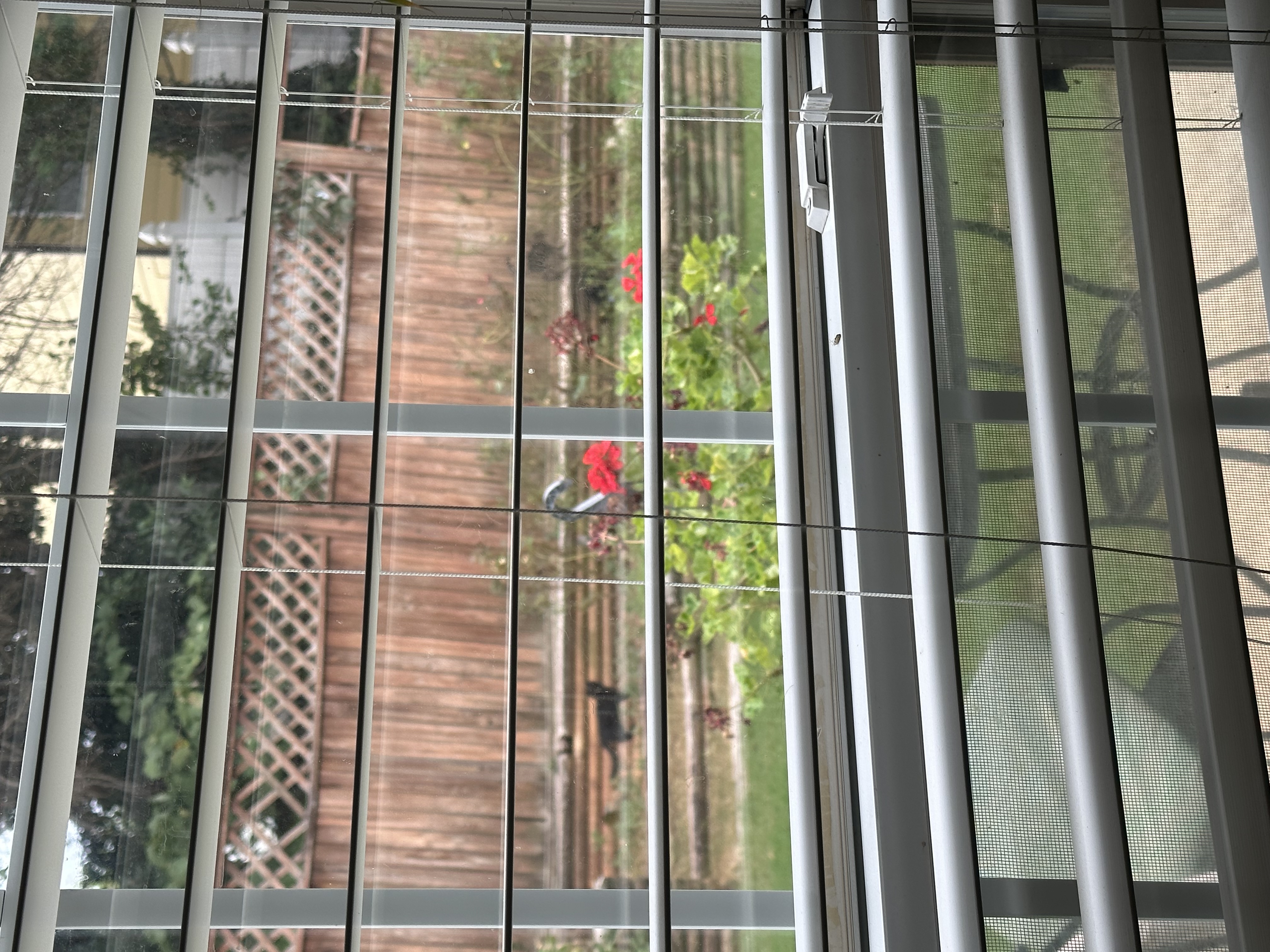 Avatar for Valeria Landaverde