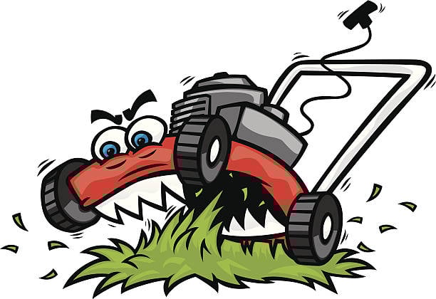 Avatar for Dee’s Lawn Service