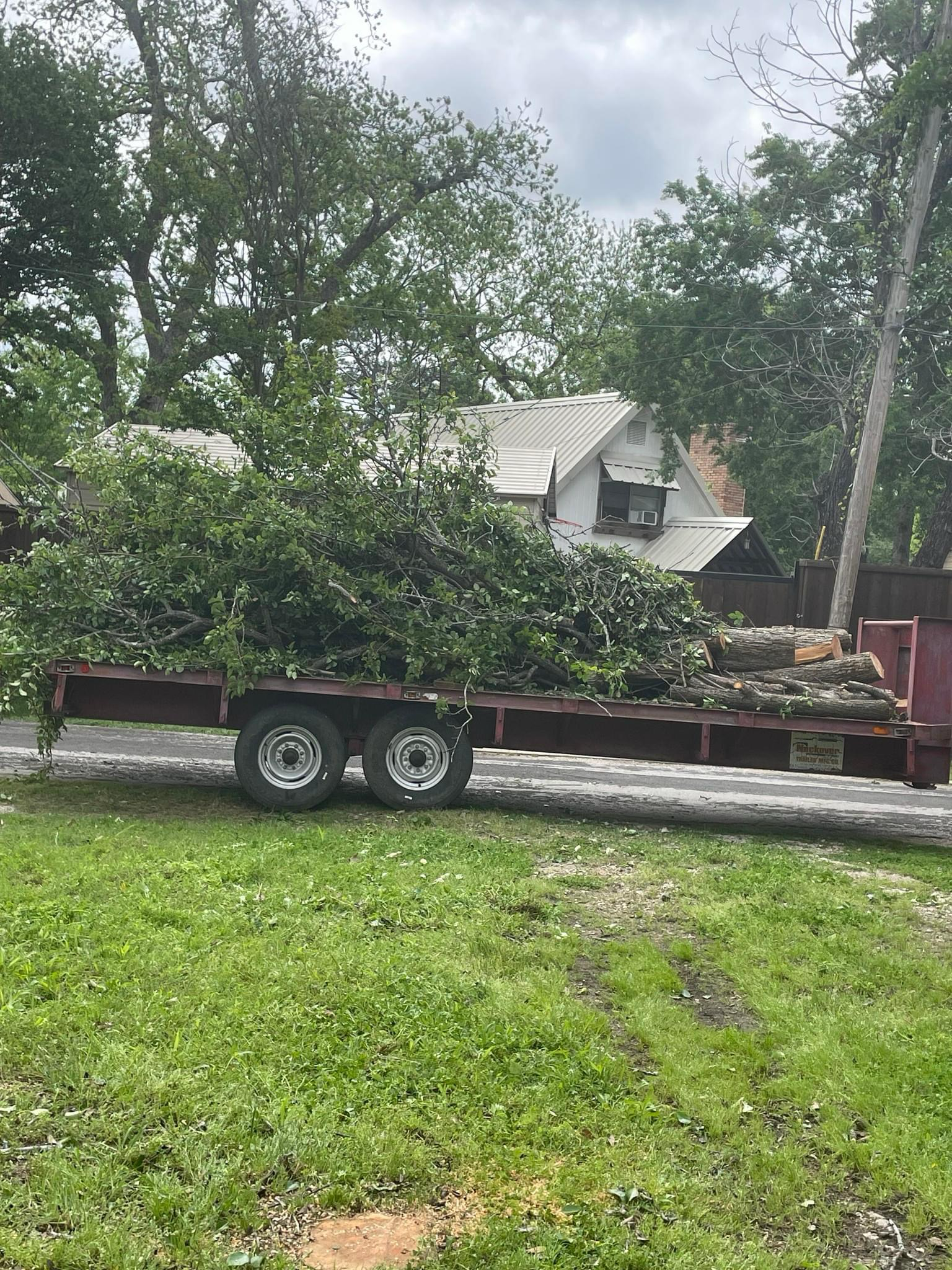 Sanchez Tree Service logo