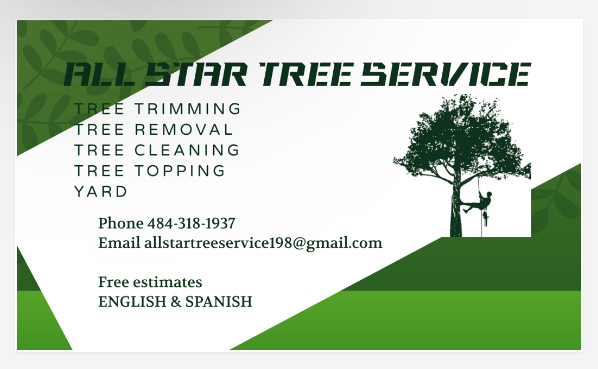 Avatar for All STAR Tree Service