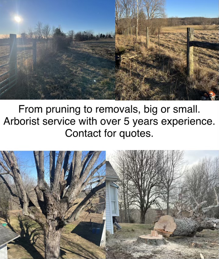 Avatar for Kentucky Land Enrichments LLc.