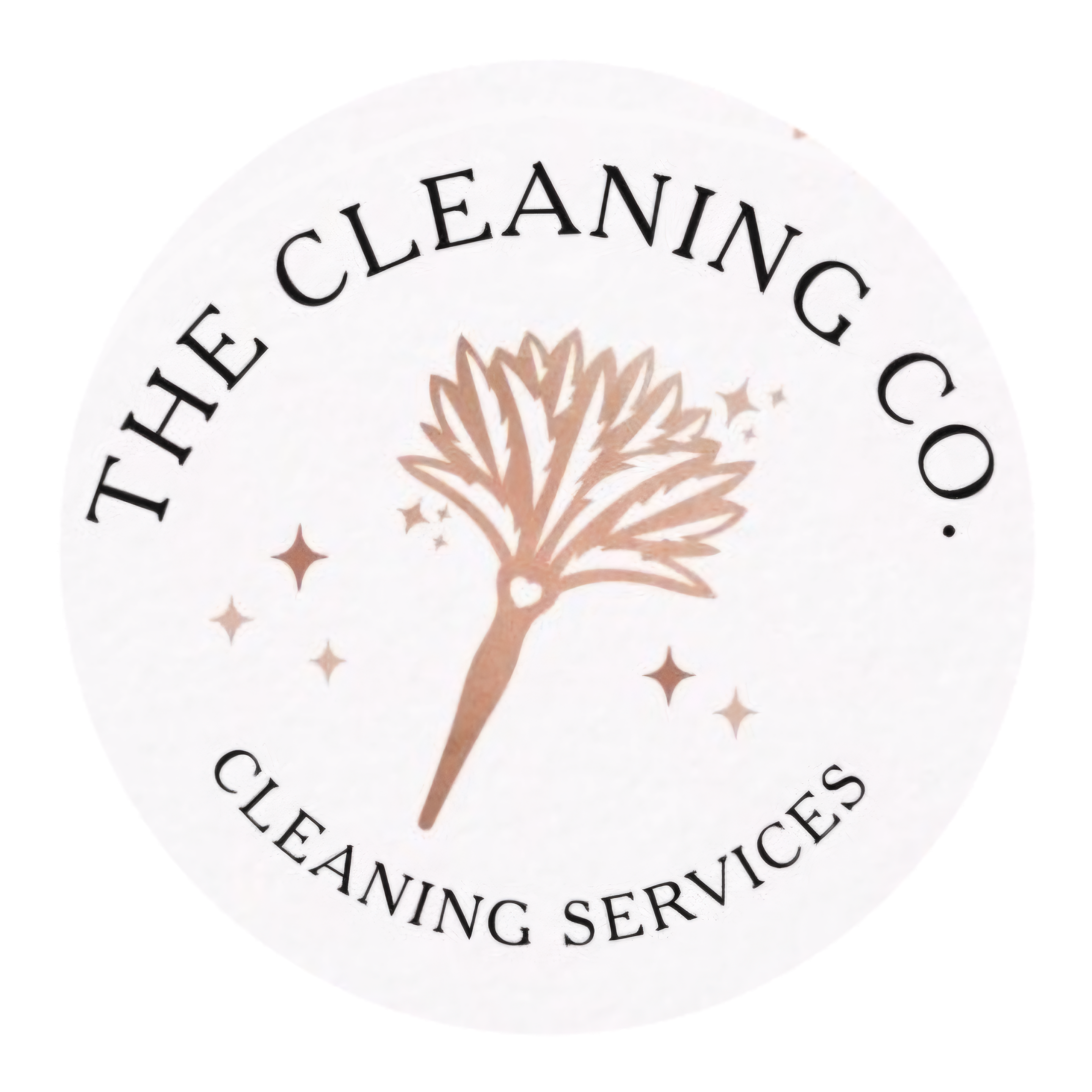 Avatar for The Cleaning Co