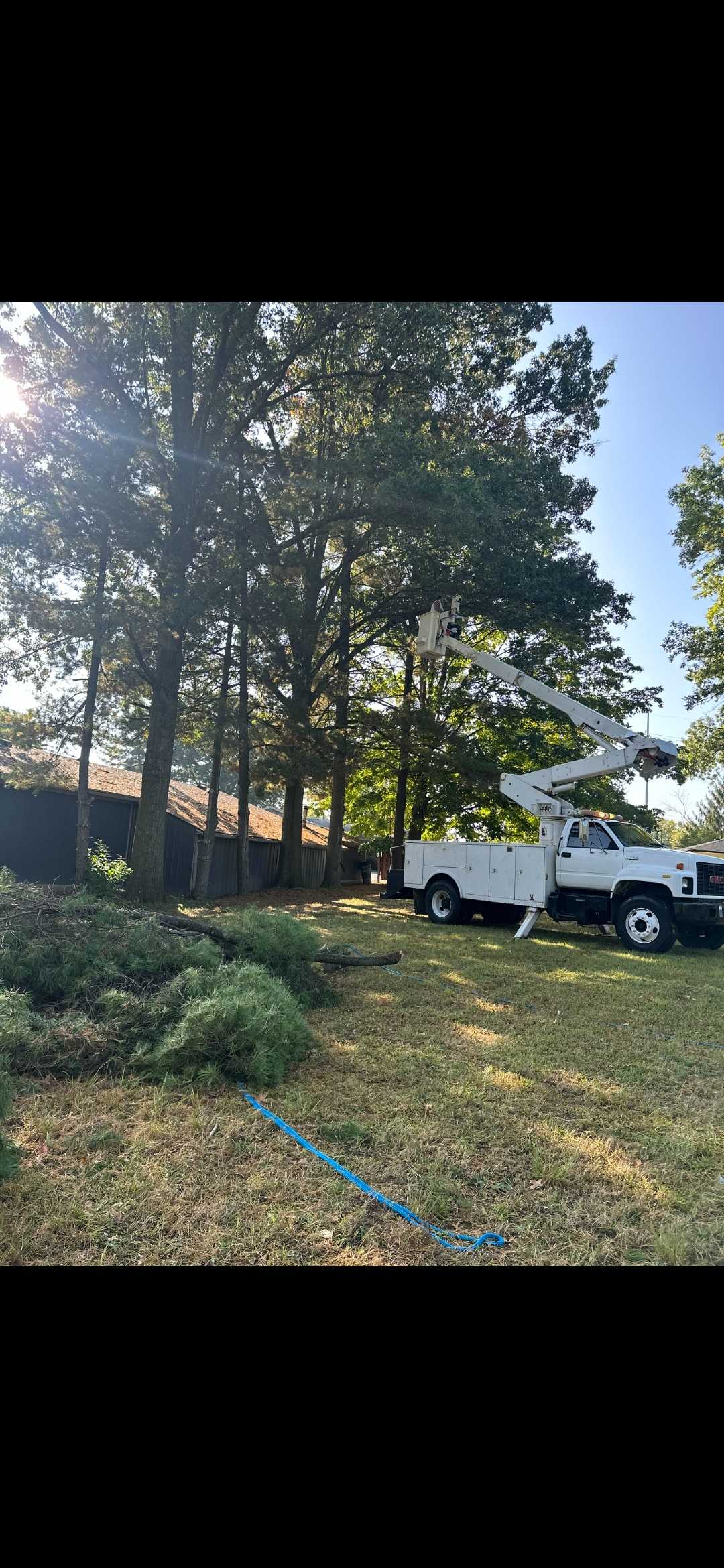Edwards Maintenance and Tree Service logo