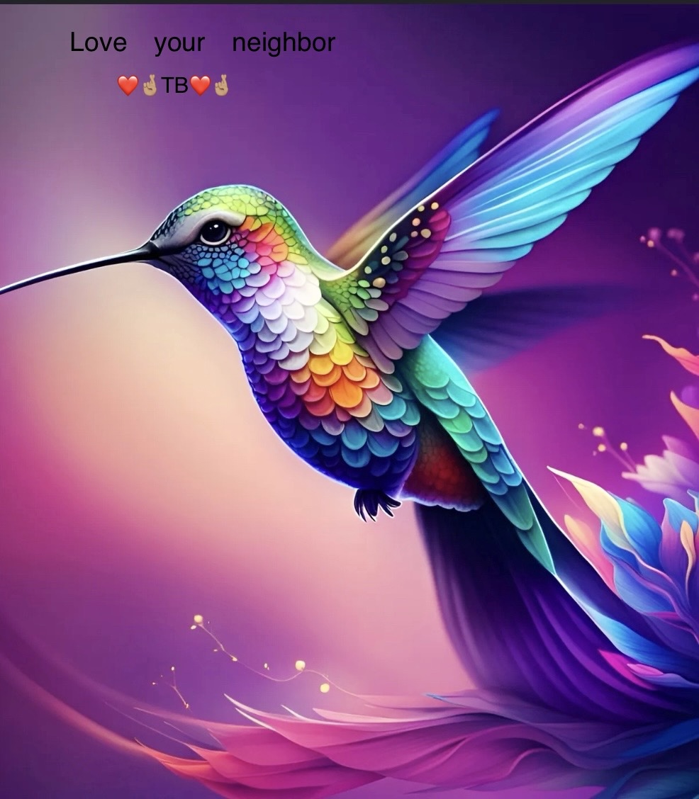 Avatar for Shalom drywall llc