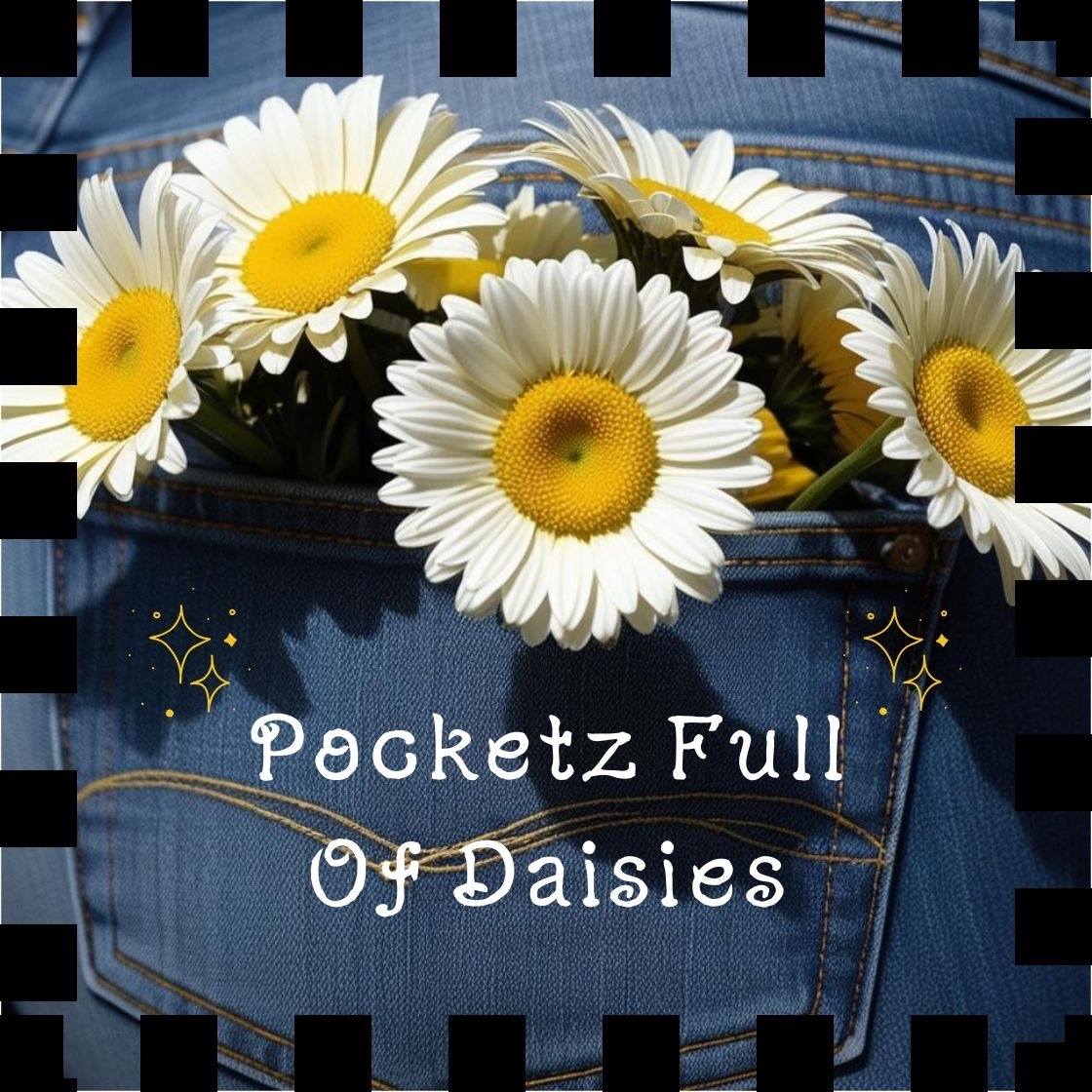 Pocketz Full Of Daisies Cleaning services logo