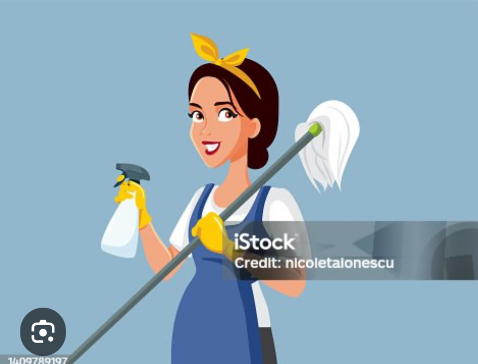The Cleaning Queens logo