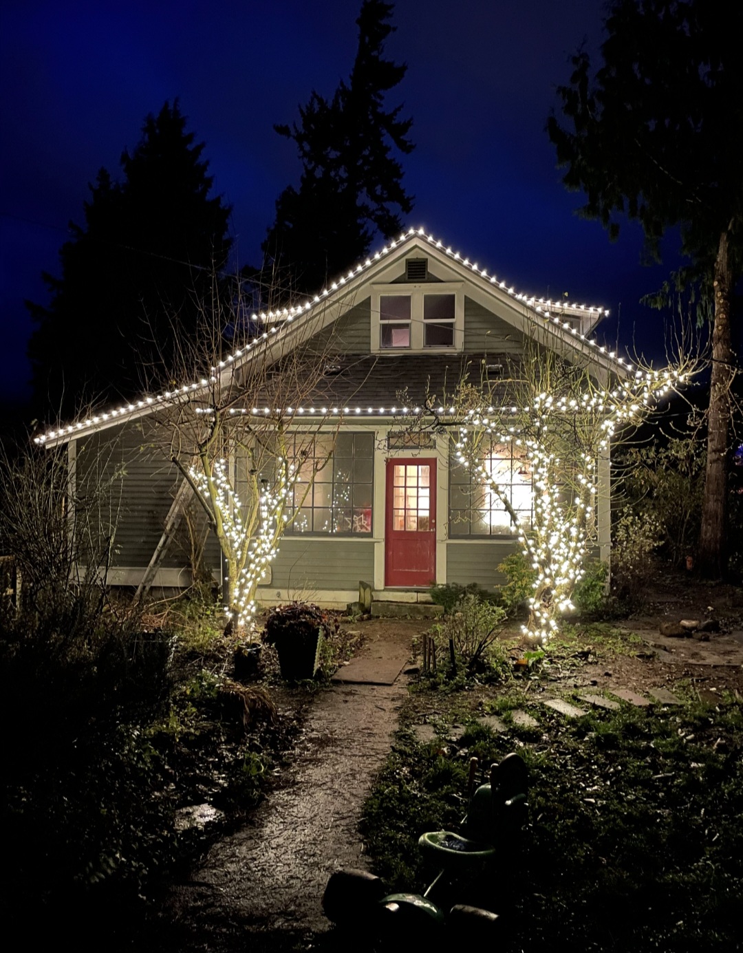 Avatar for Bellingham's light