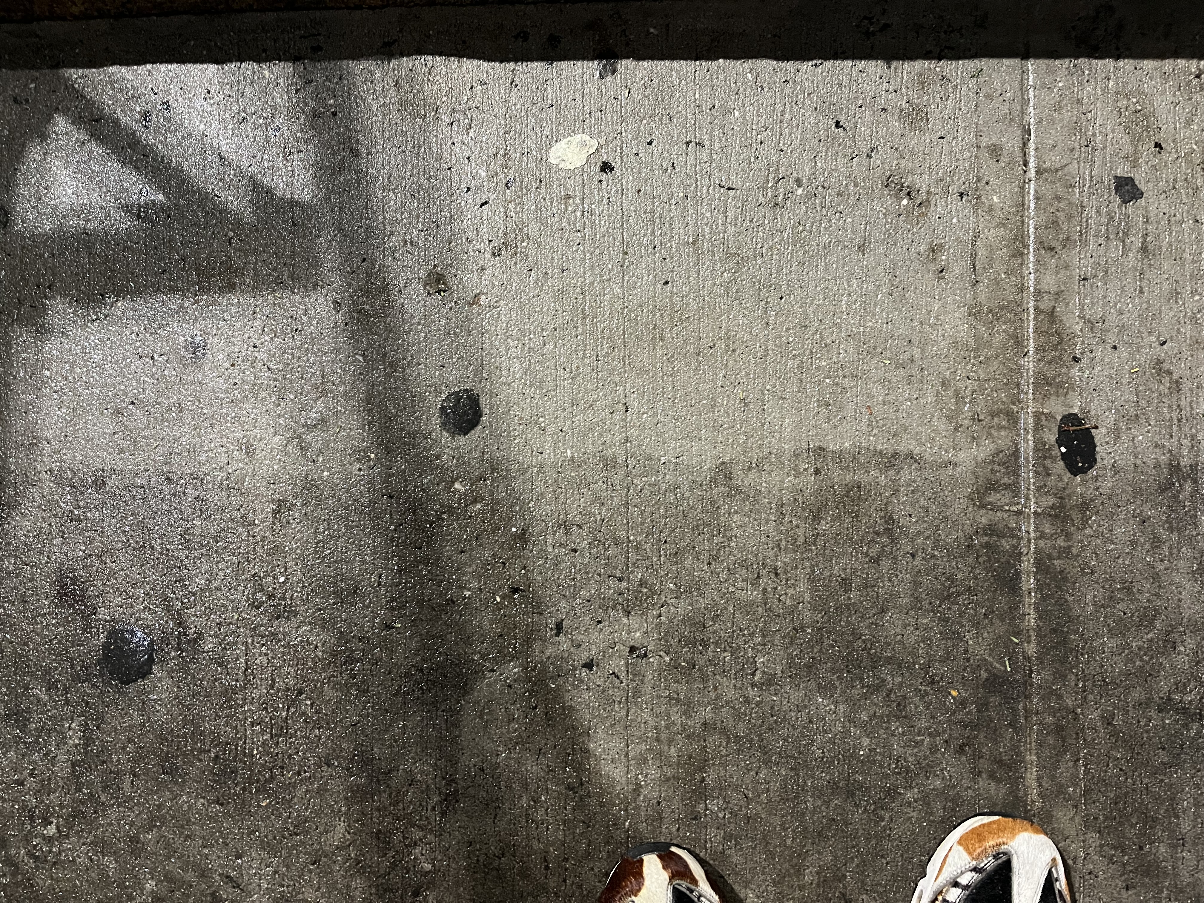 Avatar for Powerwasherss