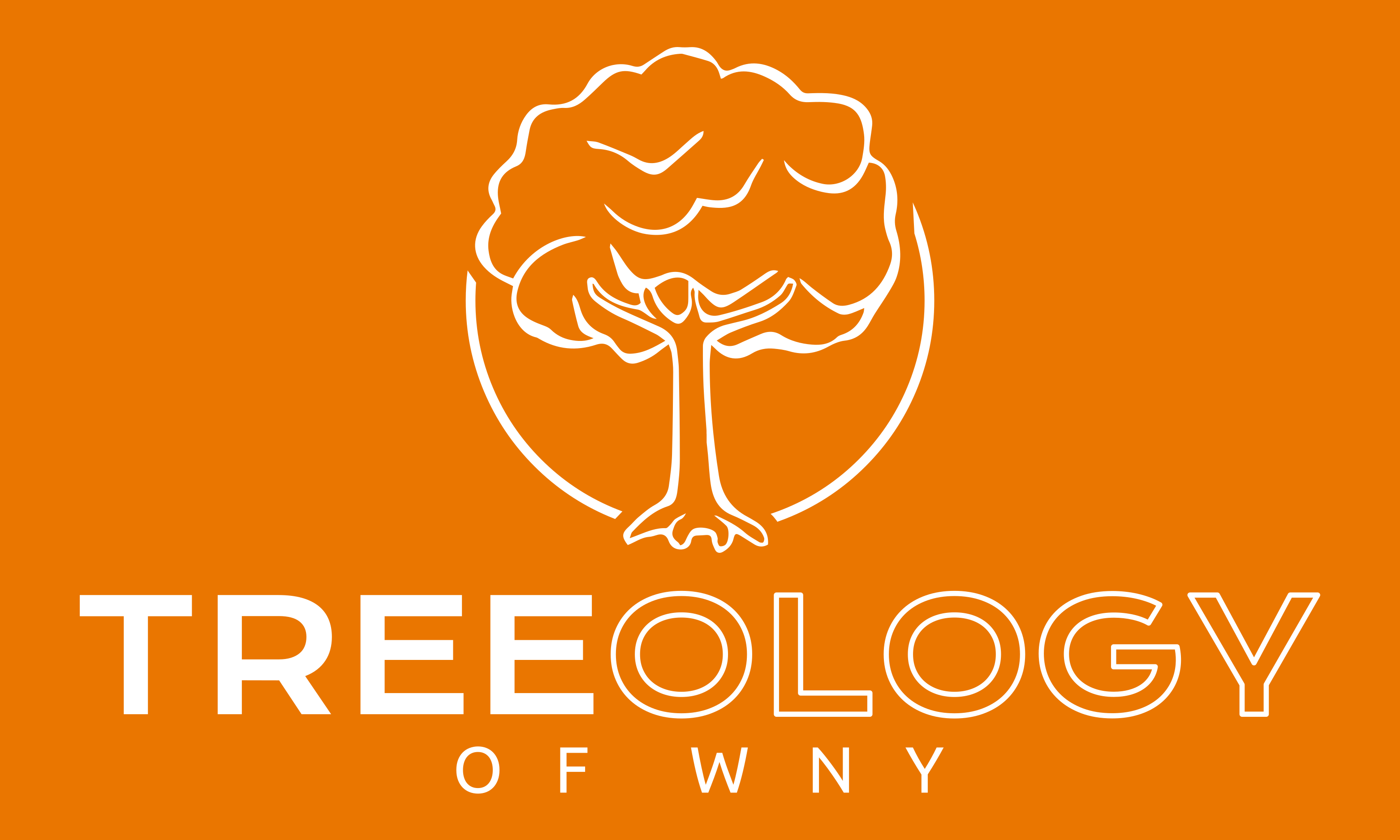 Treeology of WNY logo