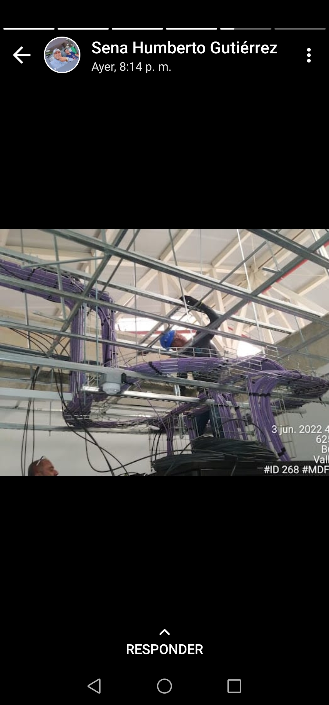 Avatar for Oscar Montoya