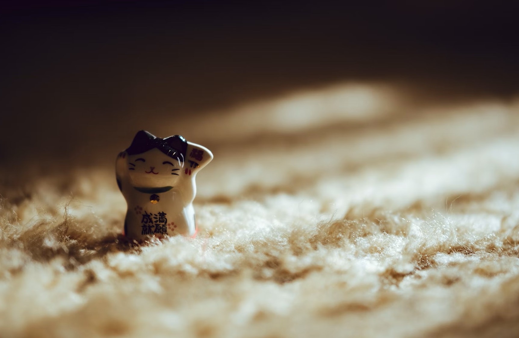 Avatar for Carpet Steam Clean by MYK