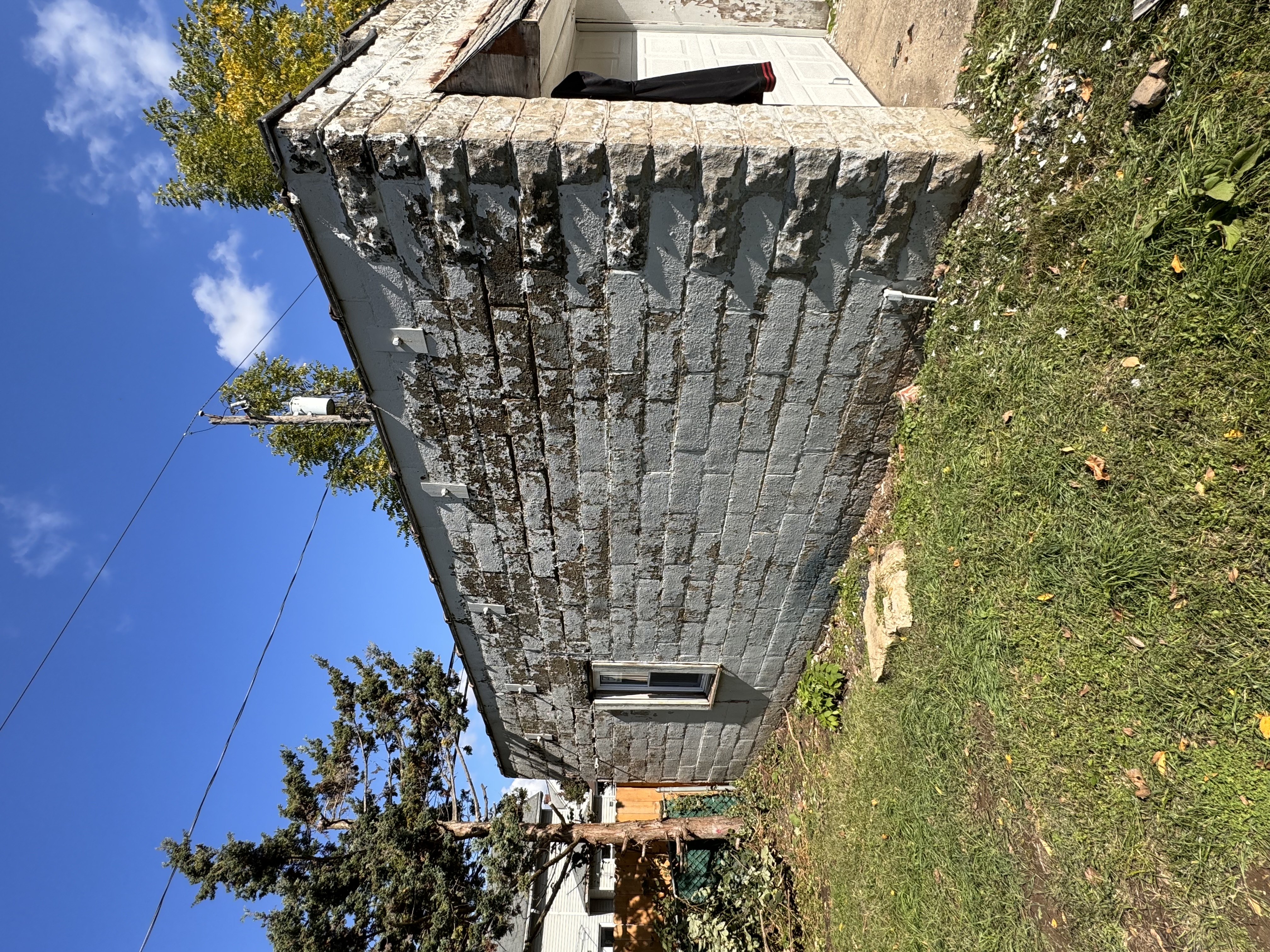 Avatar for Nestor Allpainting