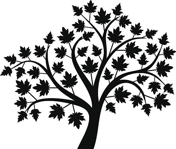 Rudy's Landscaping & Lawn Services logo
