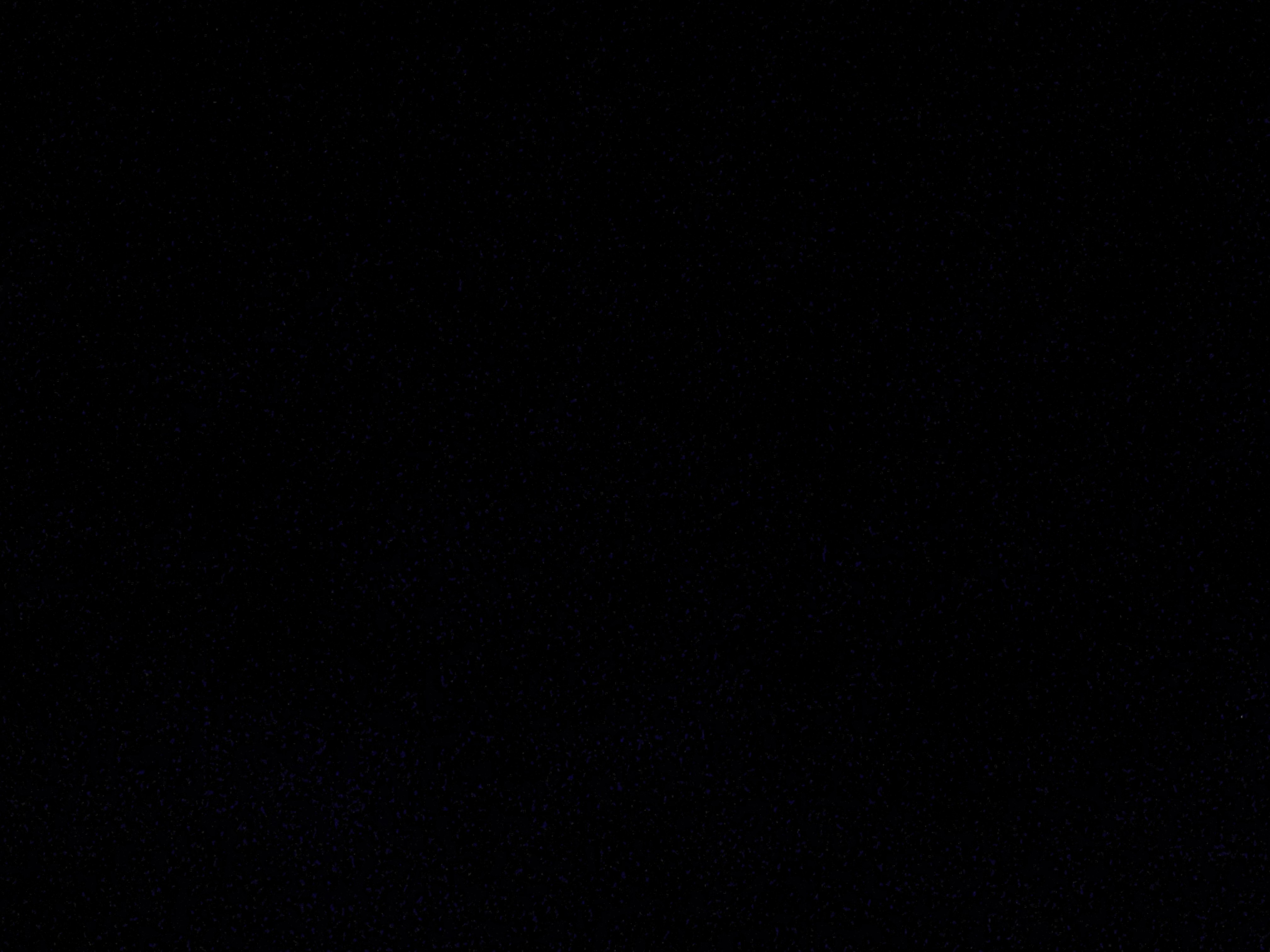 Avatar for Shoncandoit