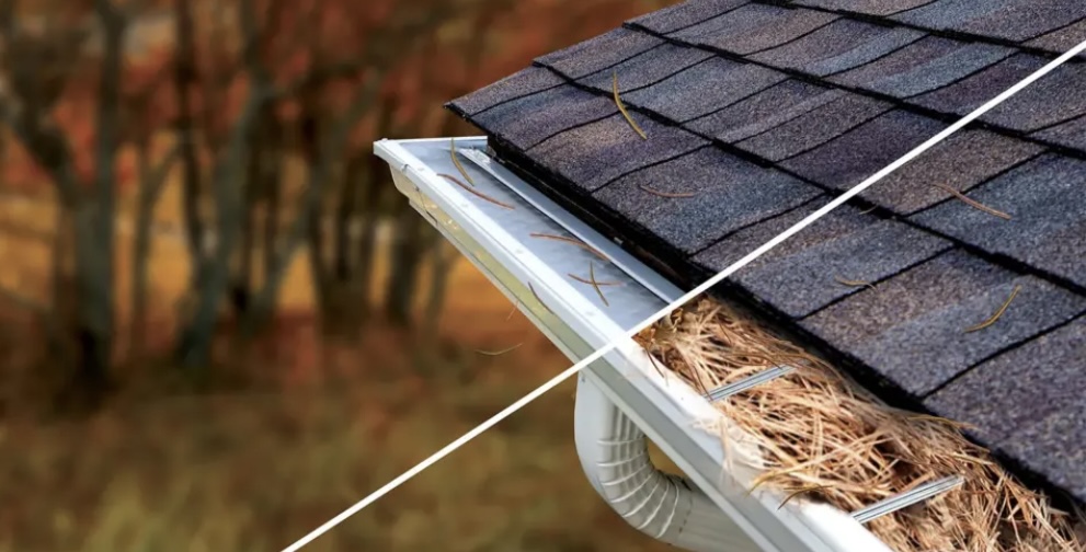 Avatar for Cleanly-Gutters