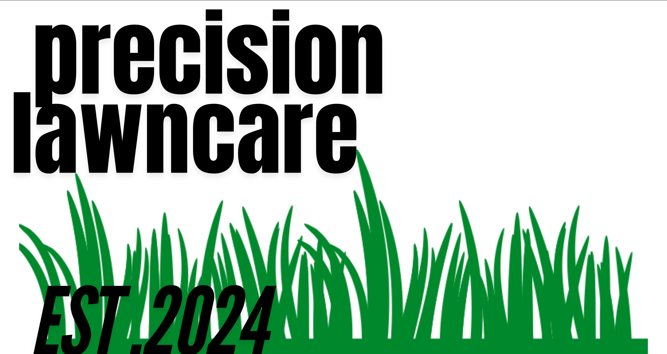 Avatar for Precision landscaping