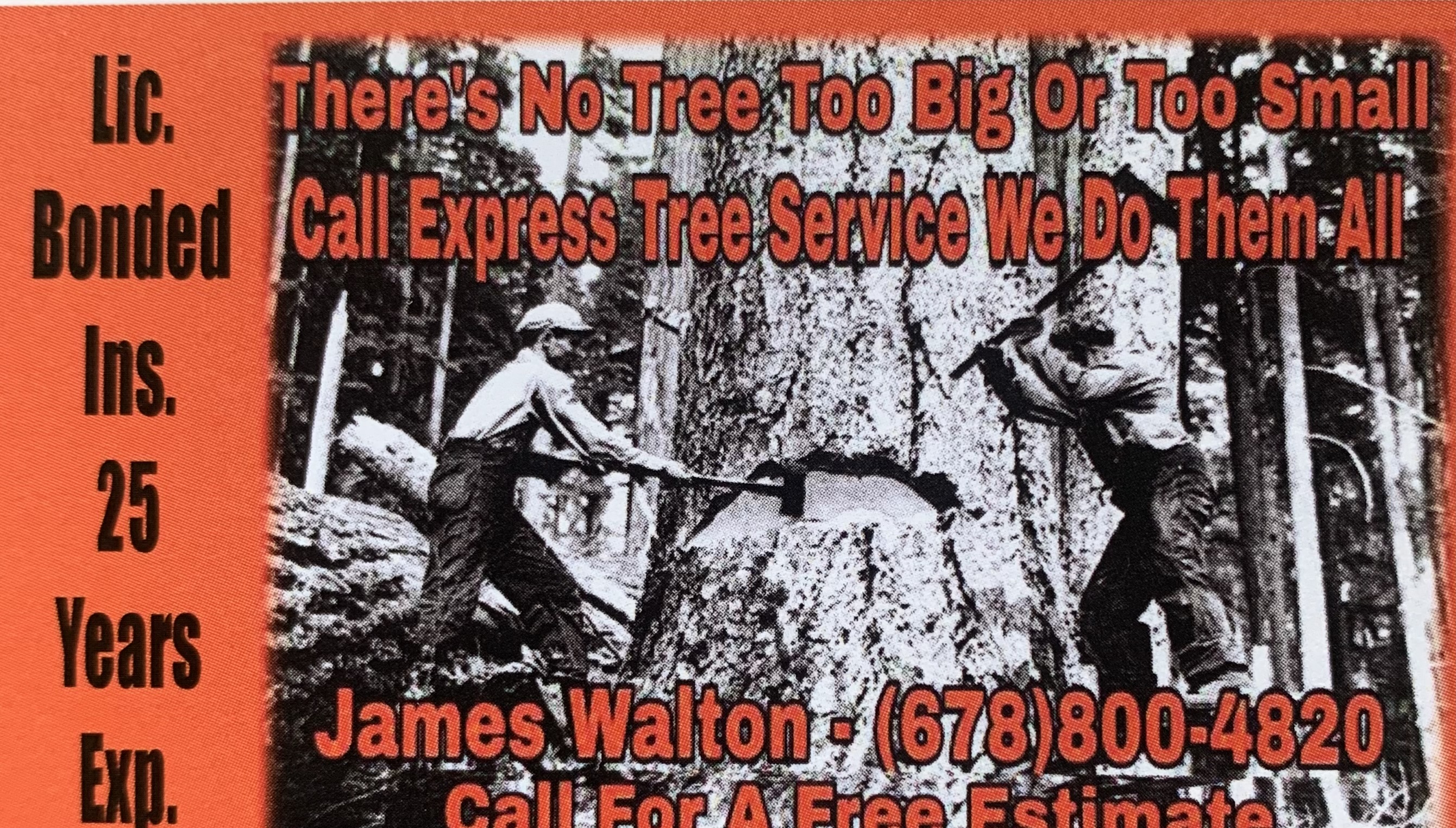 Express Tree Service logo