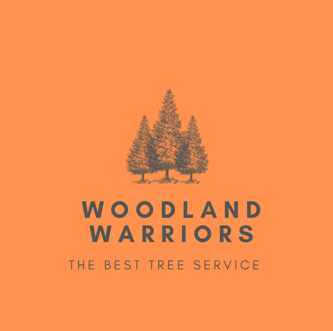 Avatar for Woodland warriors