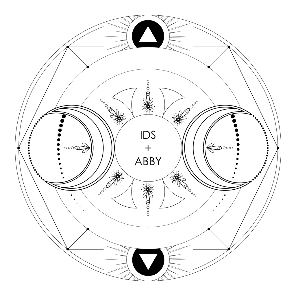 IDS+ABBY logo