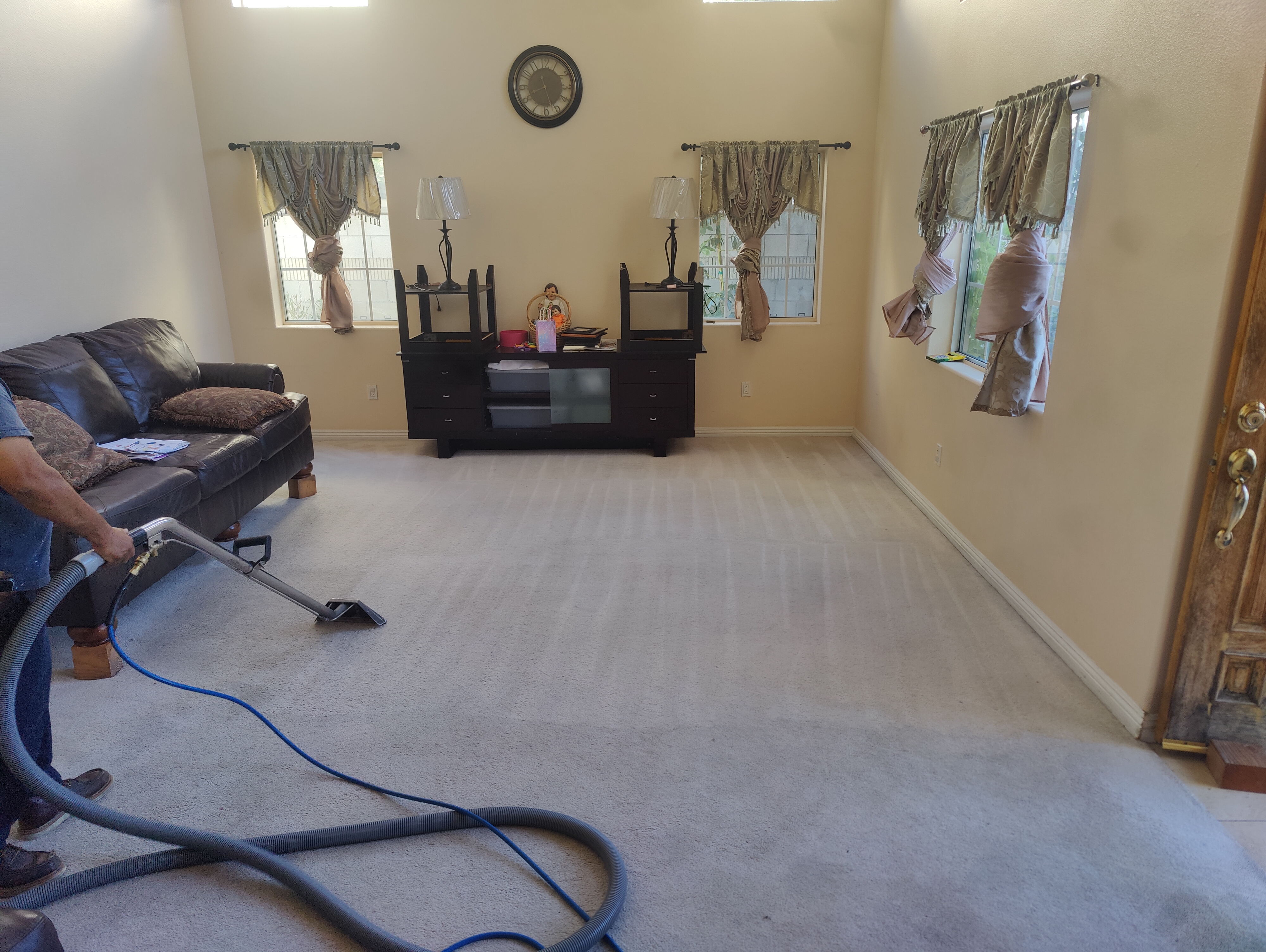 Freds Carpets Clean logo