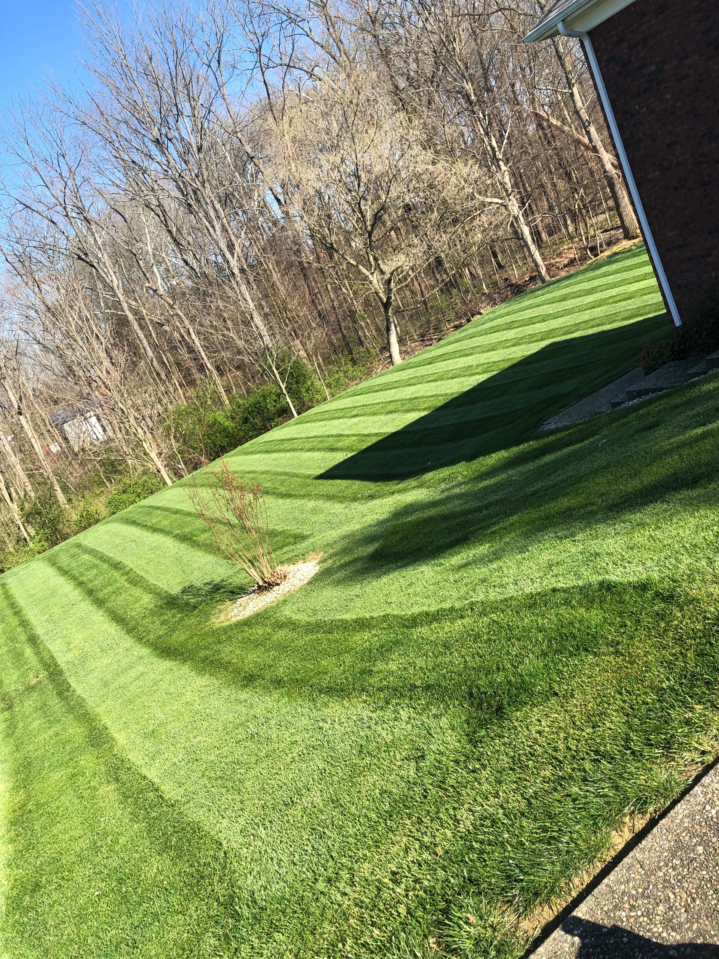 Avatar for Anderson’s Lawn Care
