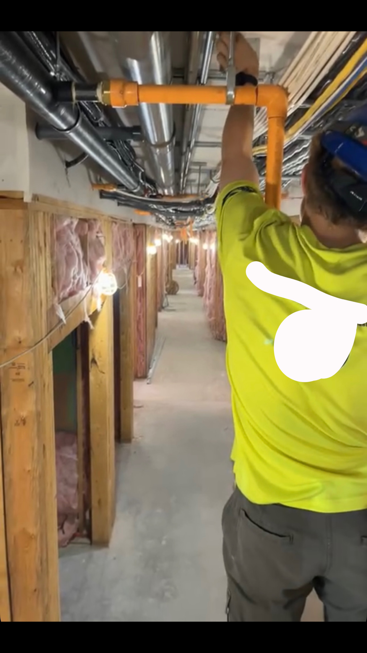 Avatar for Nicholas Giorgione