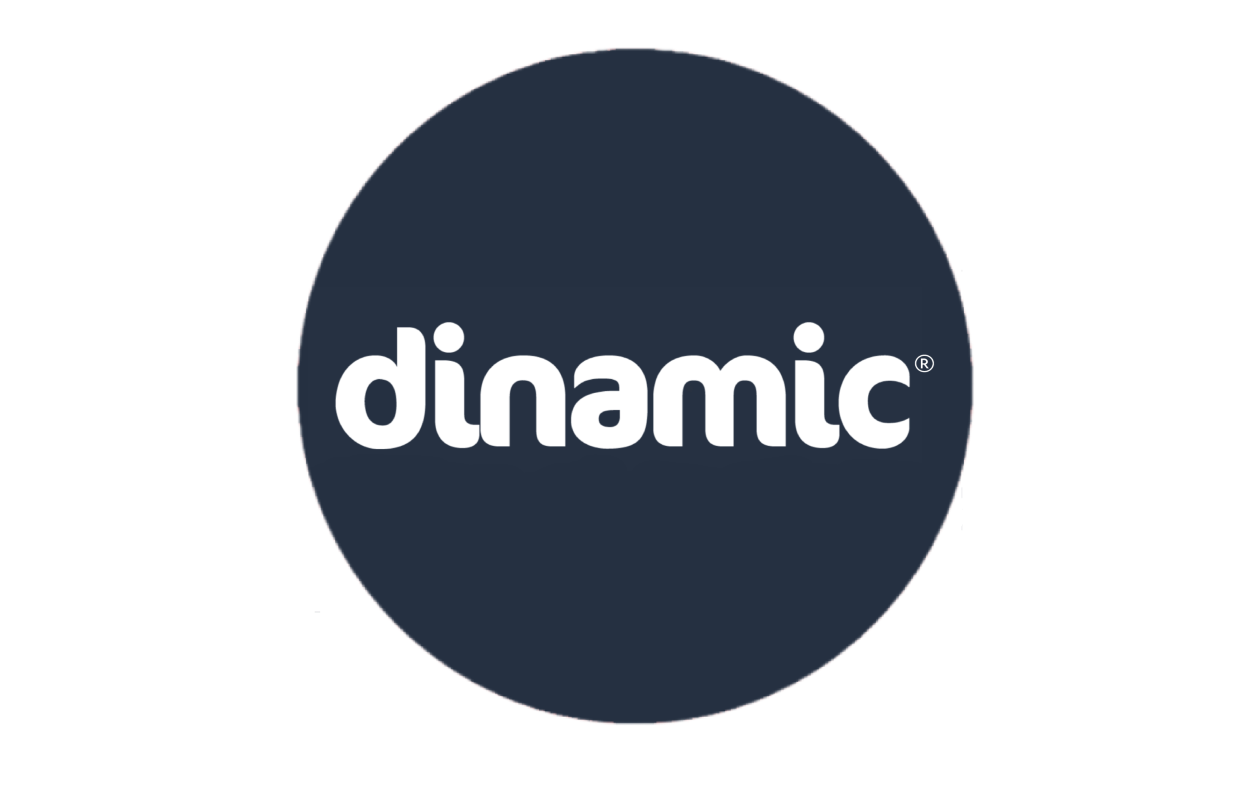 Dinamic Cleaning logo