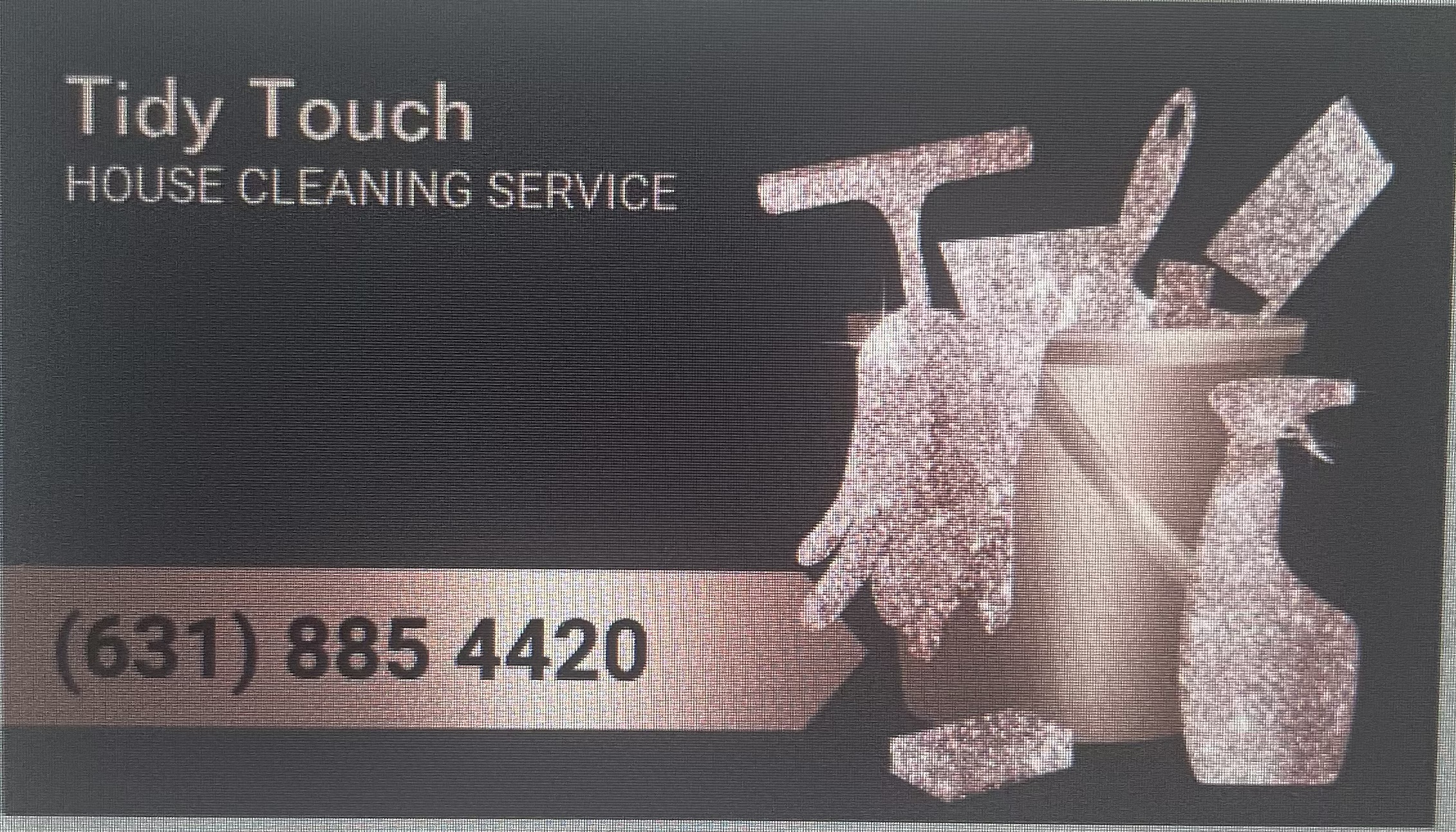 Tidy Touch logo