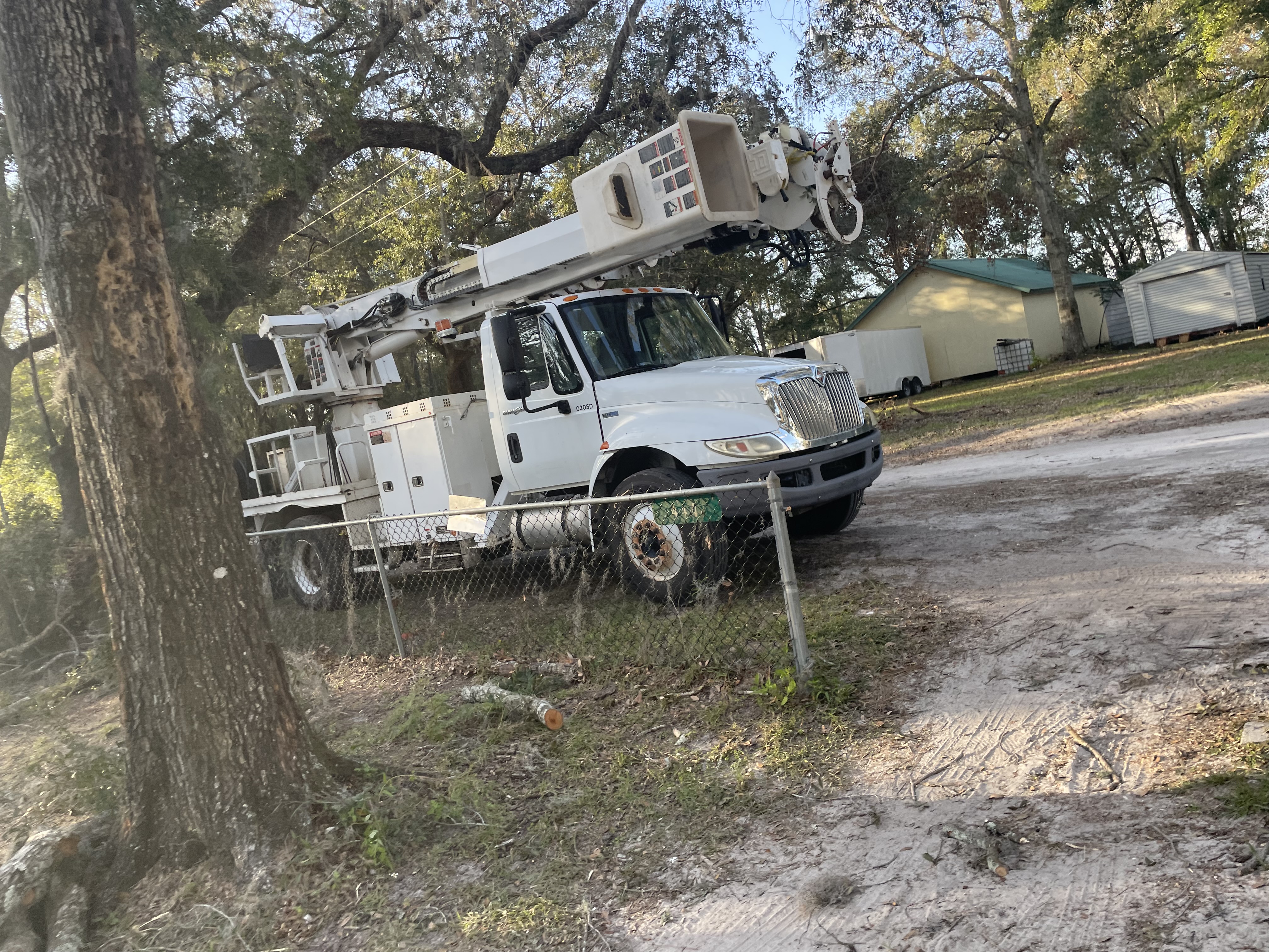 Avatar for JDP tree service