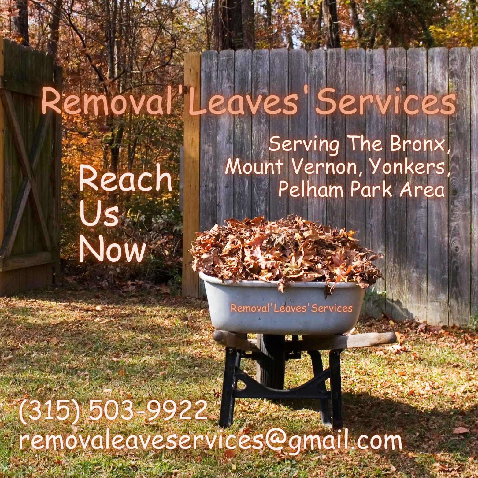 Removal'Leaves'Services logo