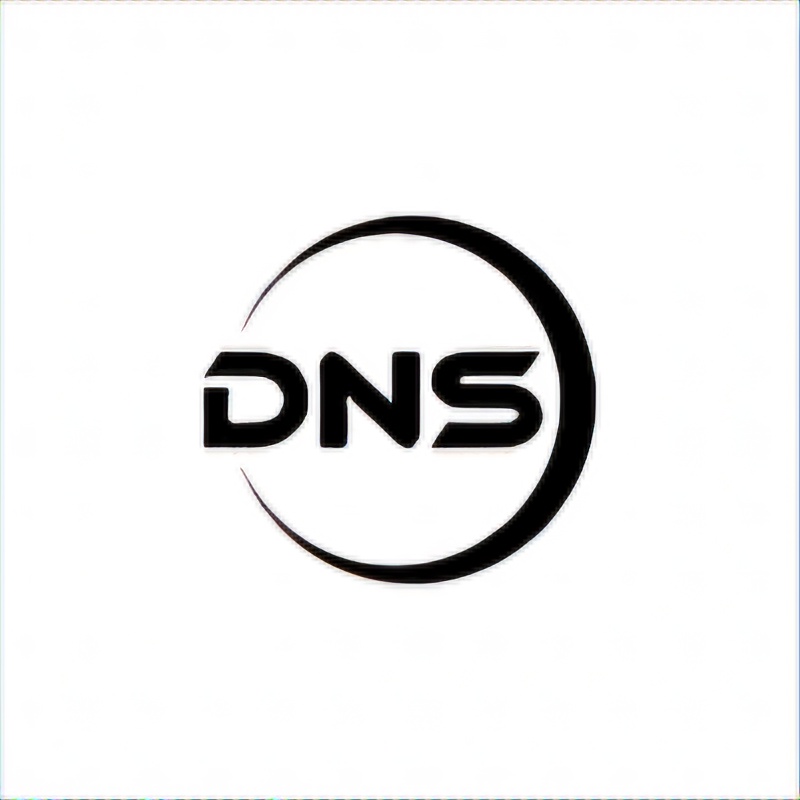 DNS LLC logo