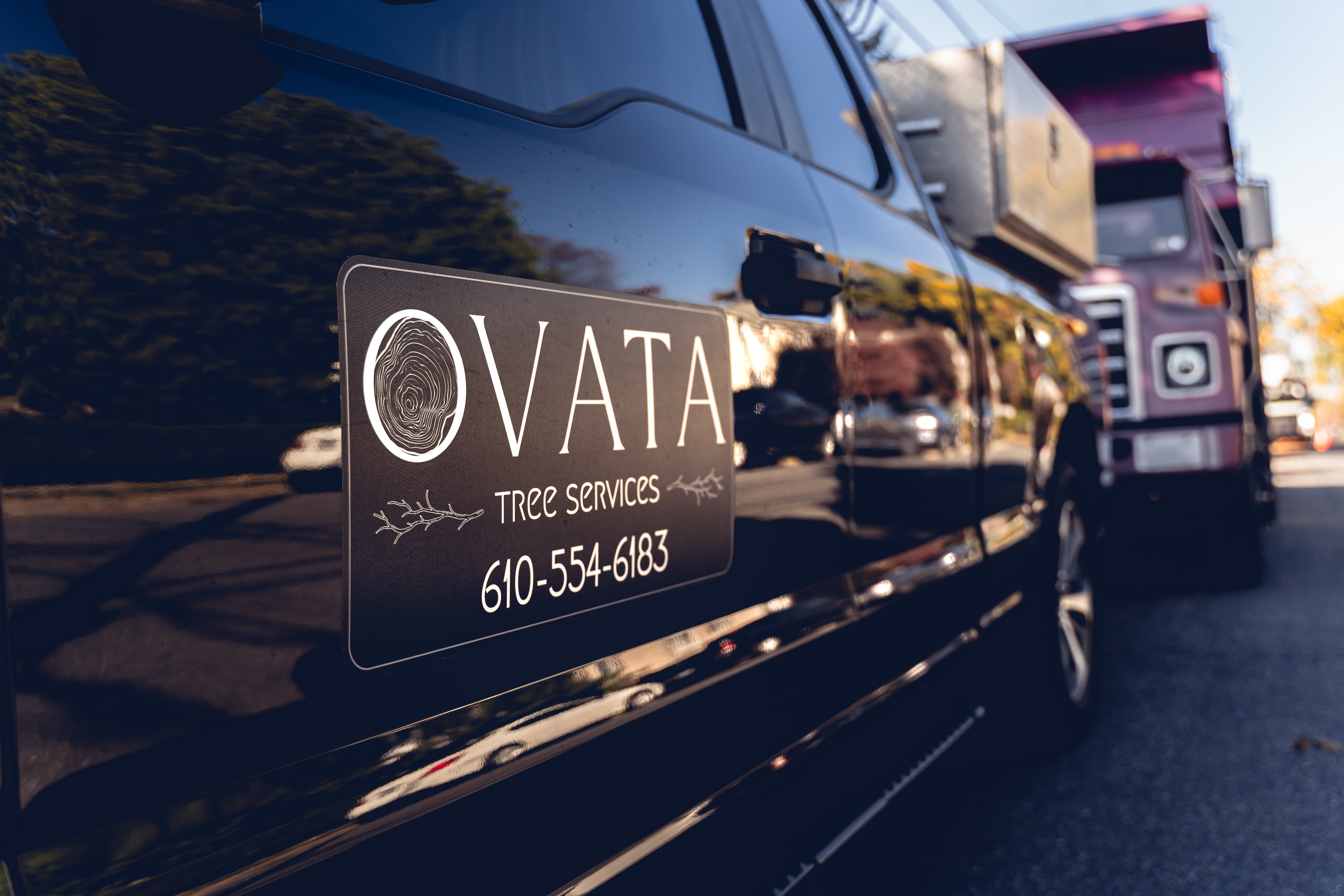 Ovata Tree Services LLC. logo