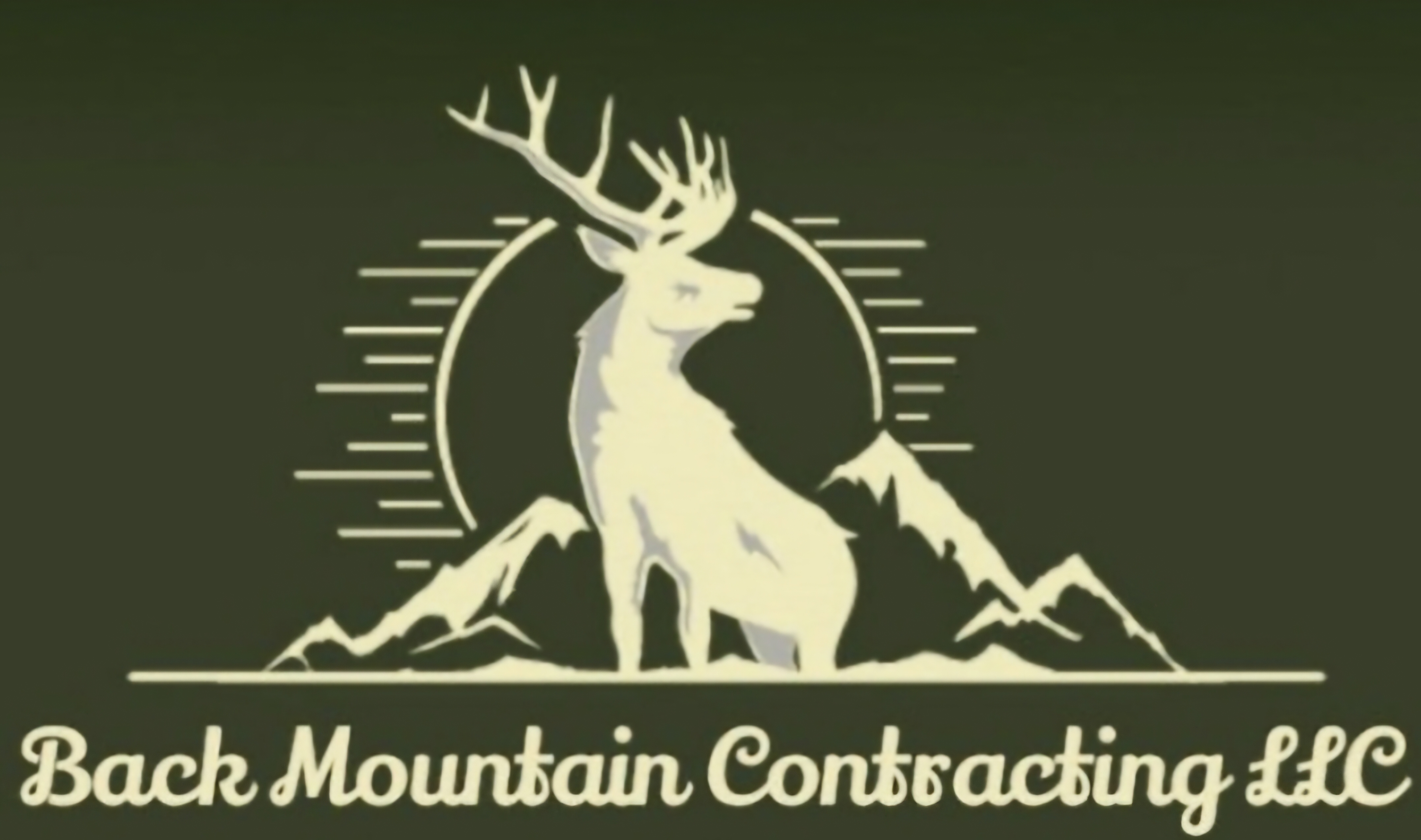 Back Mountain Contracting LLC logo