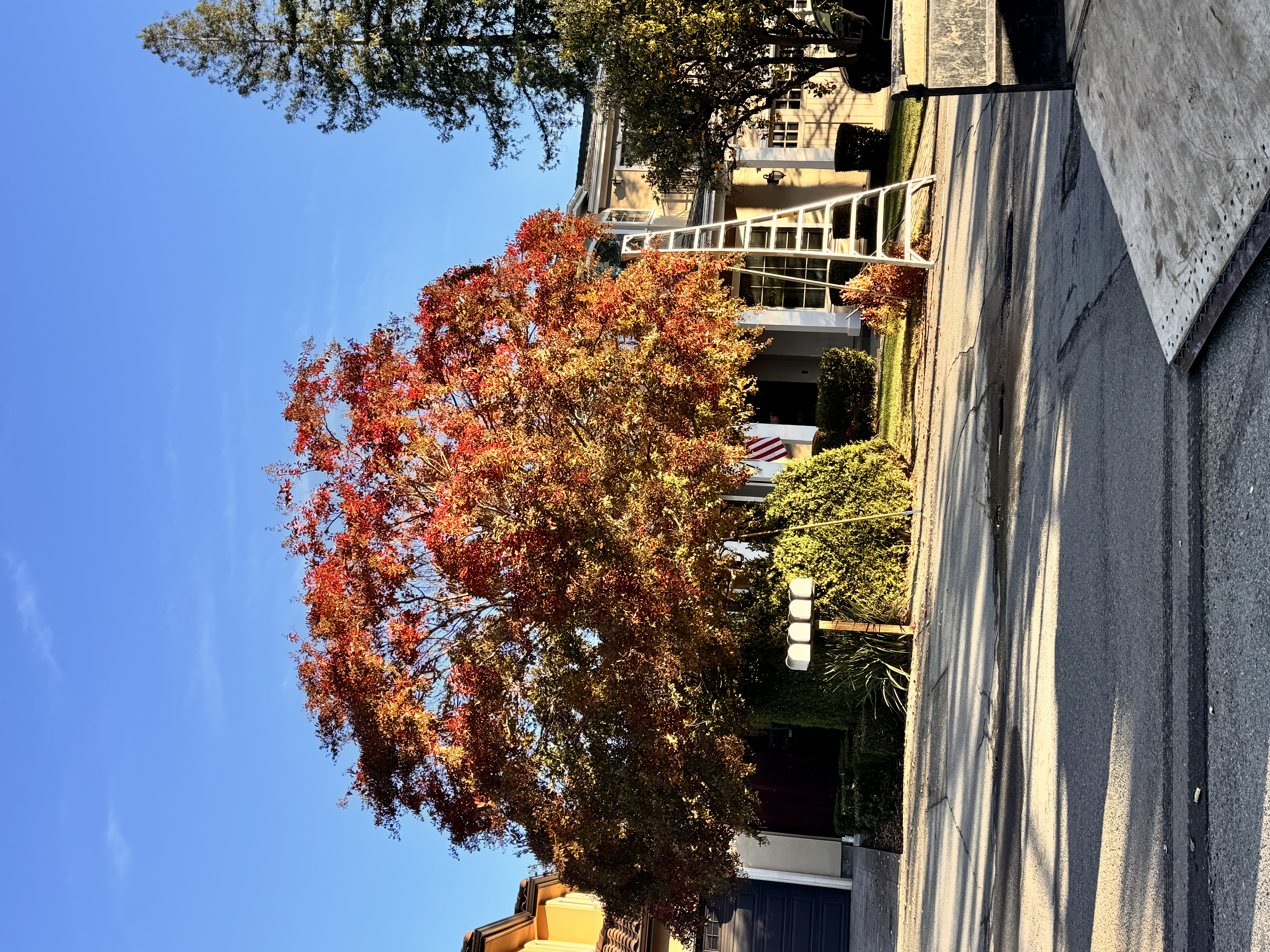 Avatar for JD Landscape