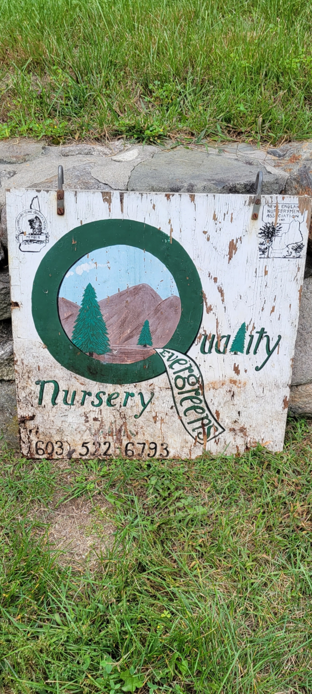 Quality Evergreens logo