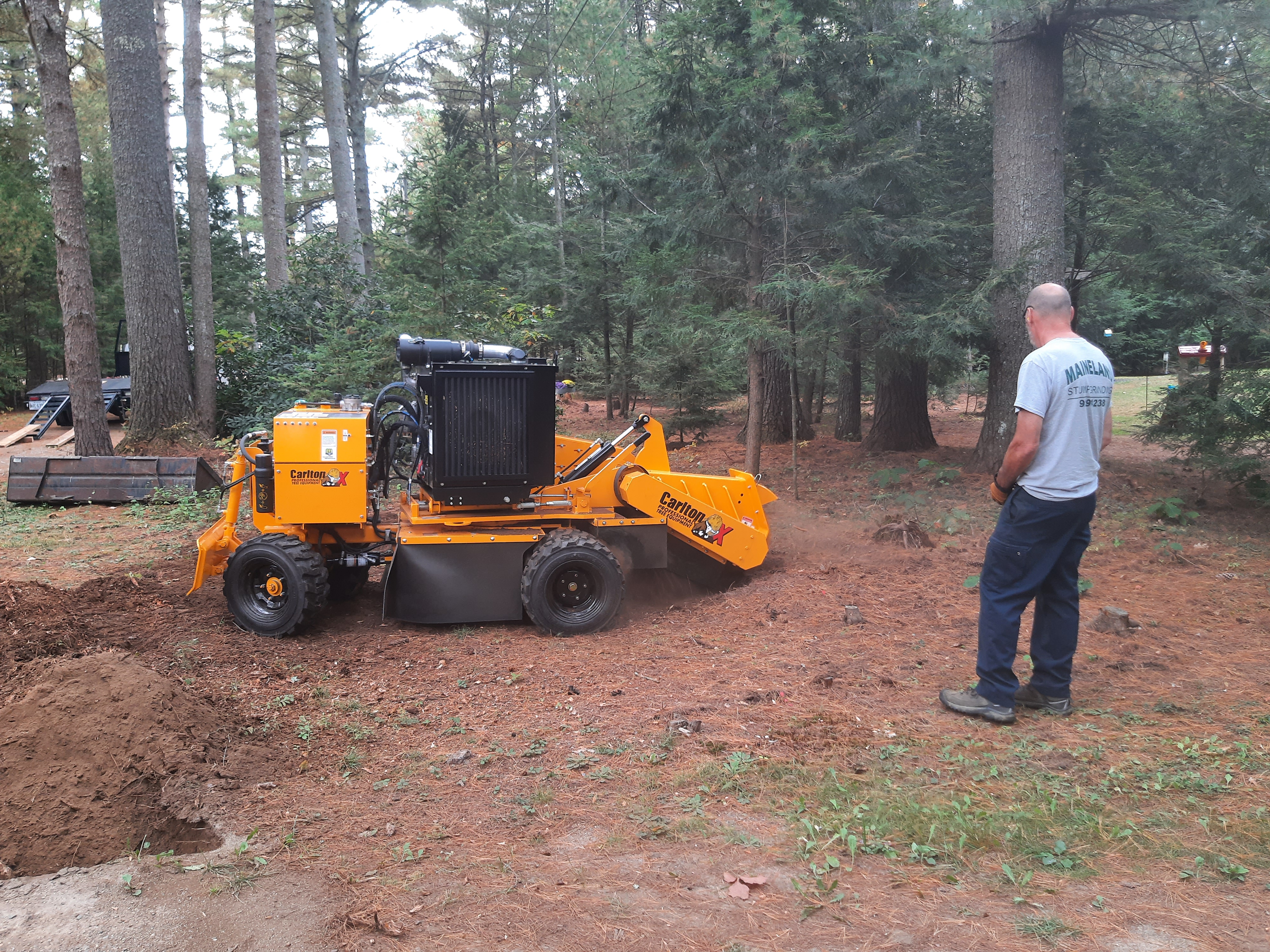 Avatar for Maineland Stump Grinding