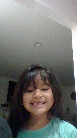 drywall dynamics logo