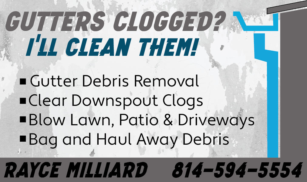 Avatar for Rayce’s Gutter Cleaning Service