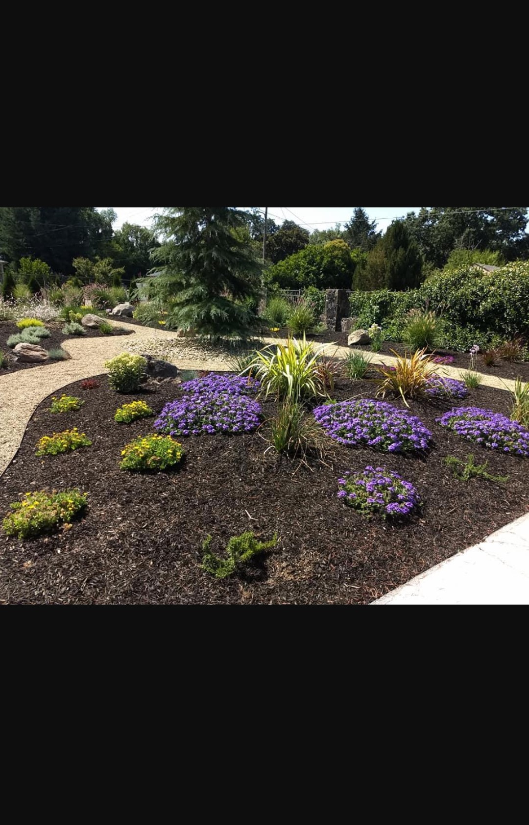 M&J.house cleaning,maintenance,landscaping logo