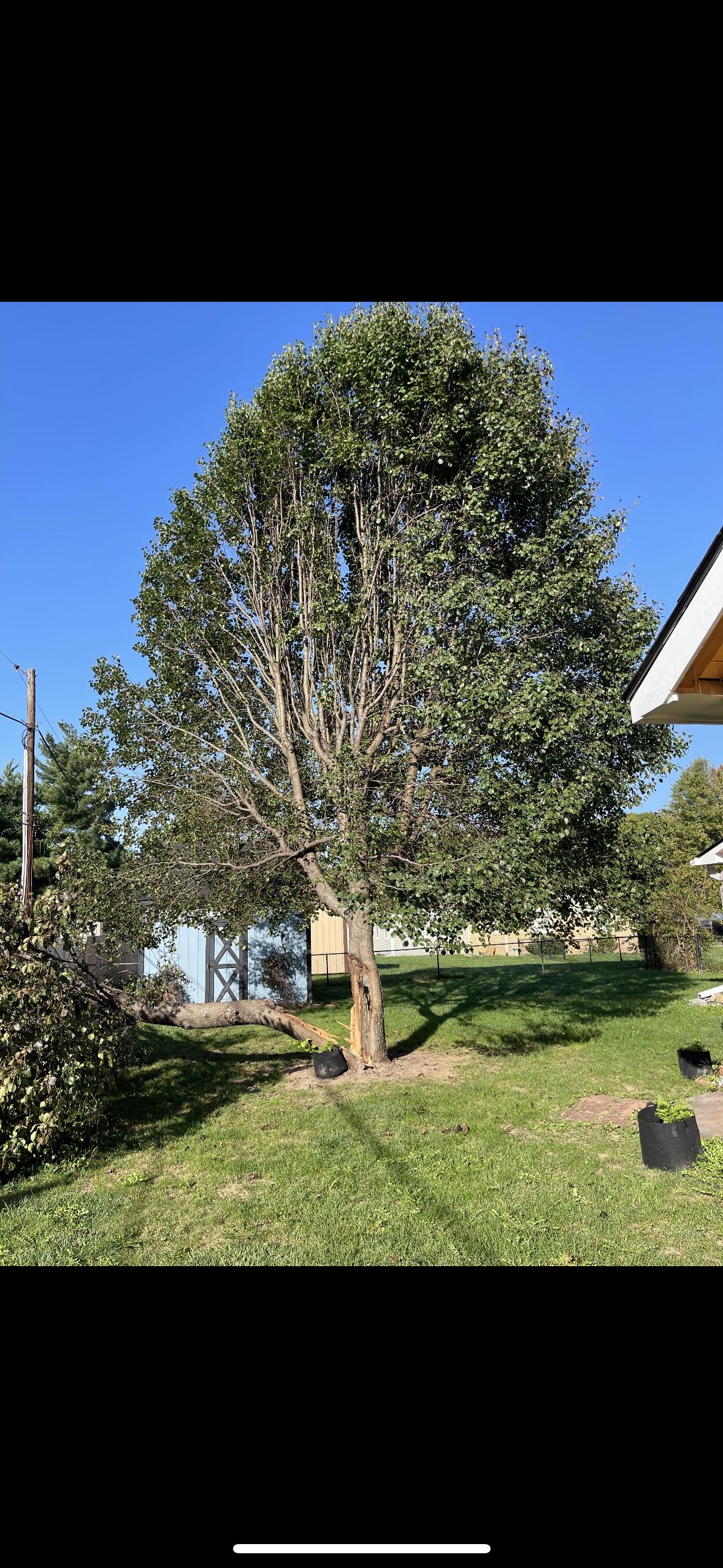 Avatar for Russell’s reliable tree service